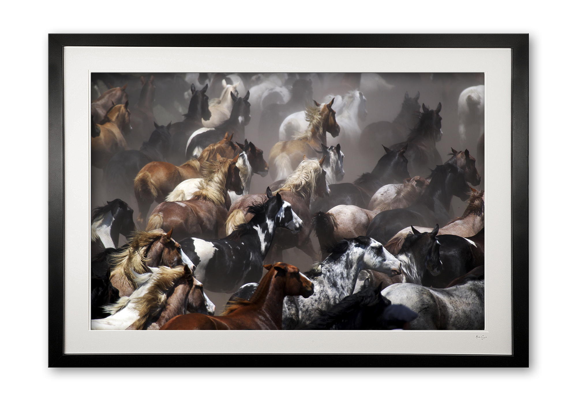 001_a__tropillas_in_colour_e56g9039_edited_framed_1825486292