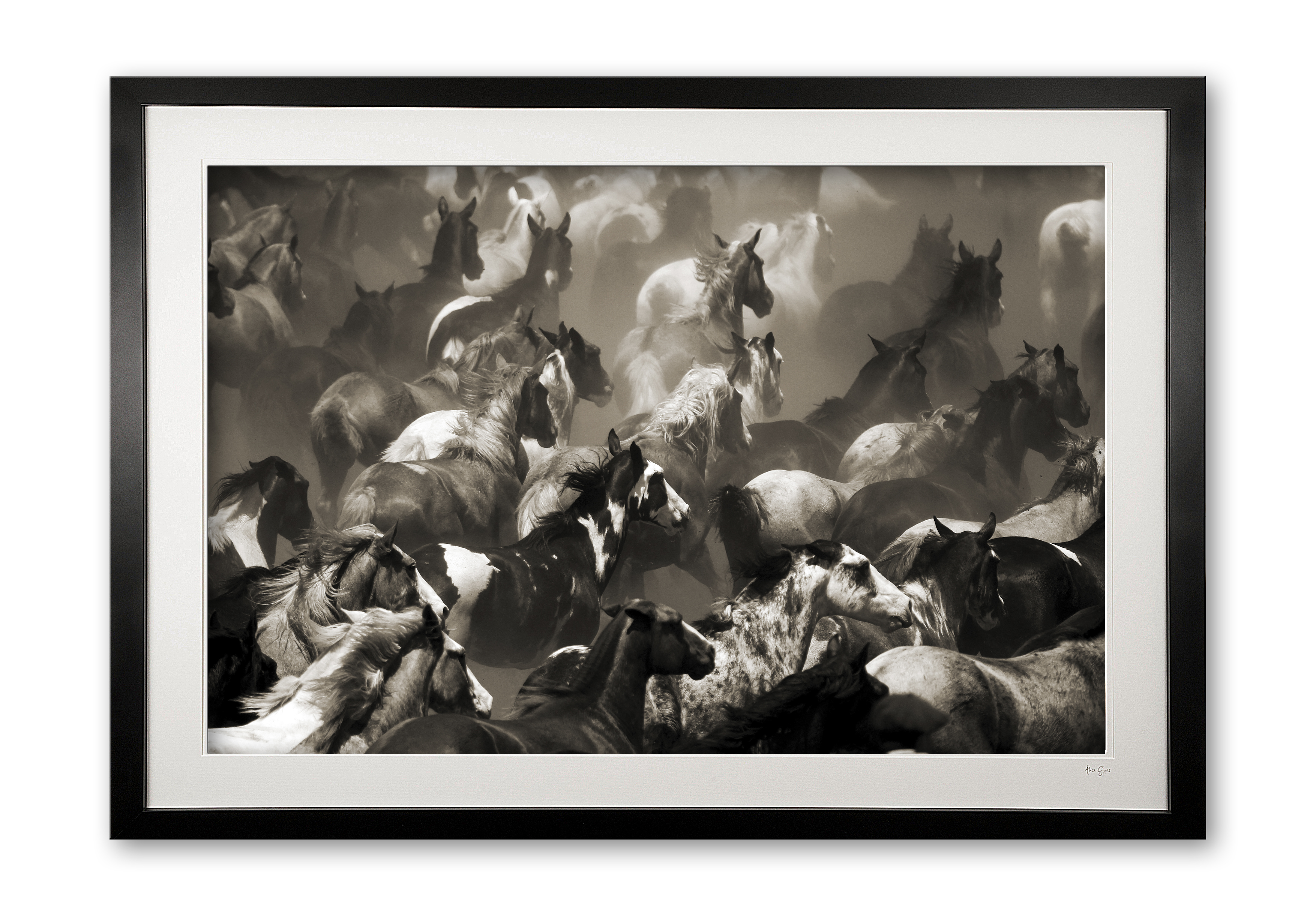 001_b__tropillas_in_sepia_e56g9039_framed_edited