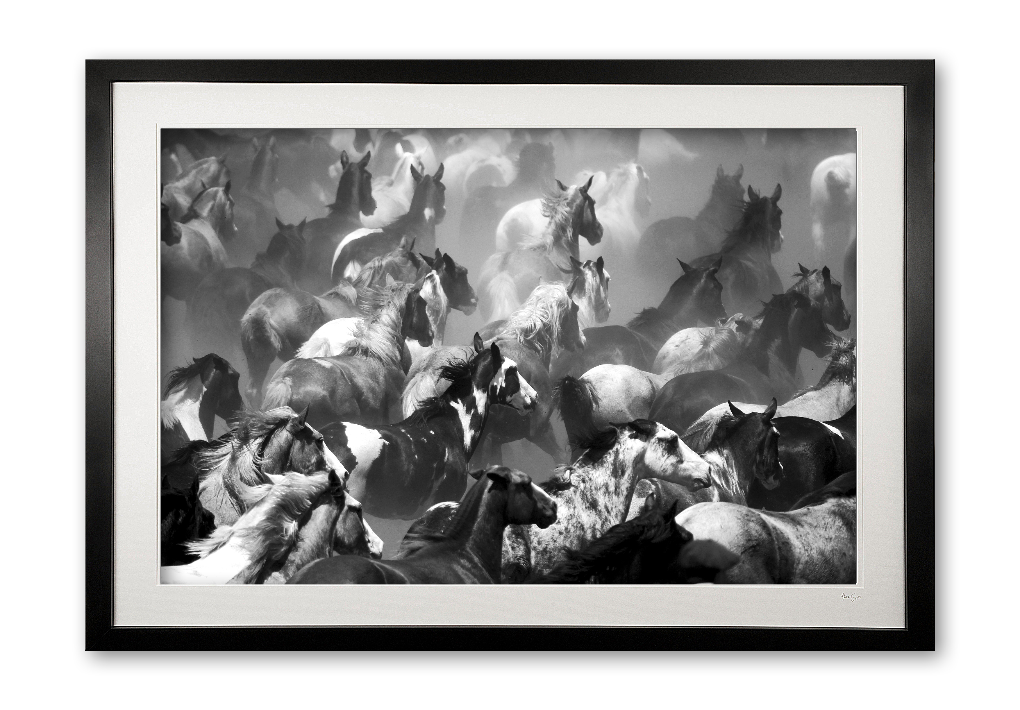 001_c__tropillas_in_black__white_e56g9039_framed_edited