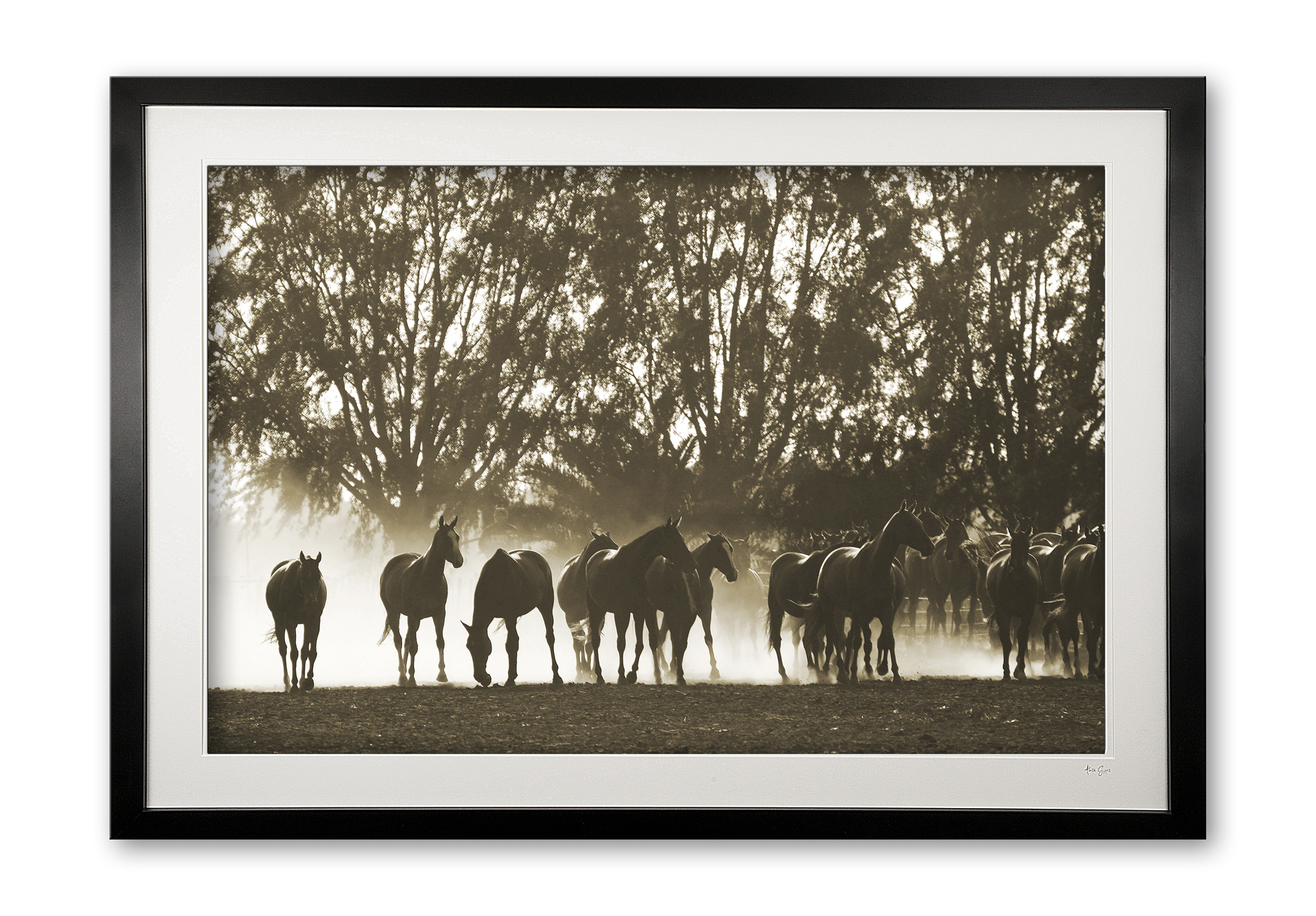 002_b__morning_round_up_i__sepia_075x0431_framed