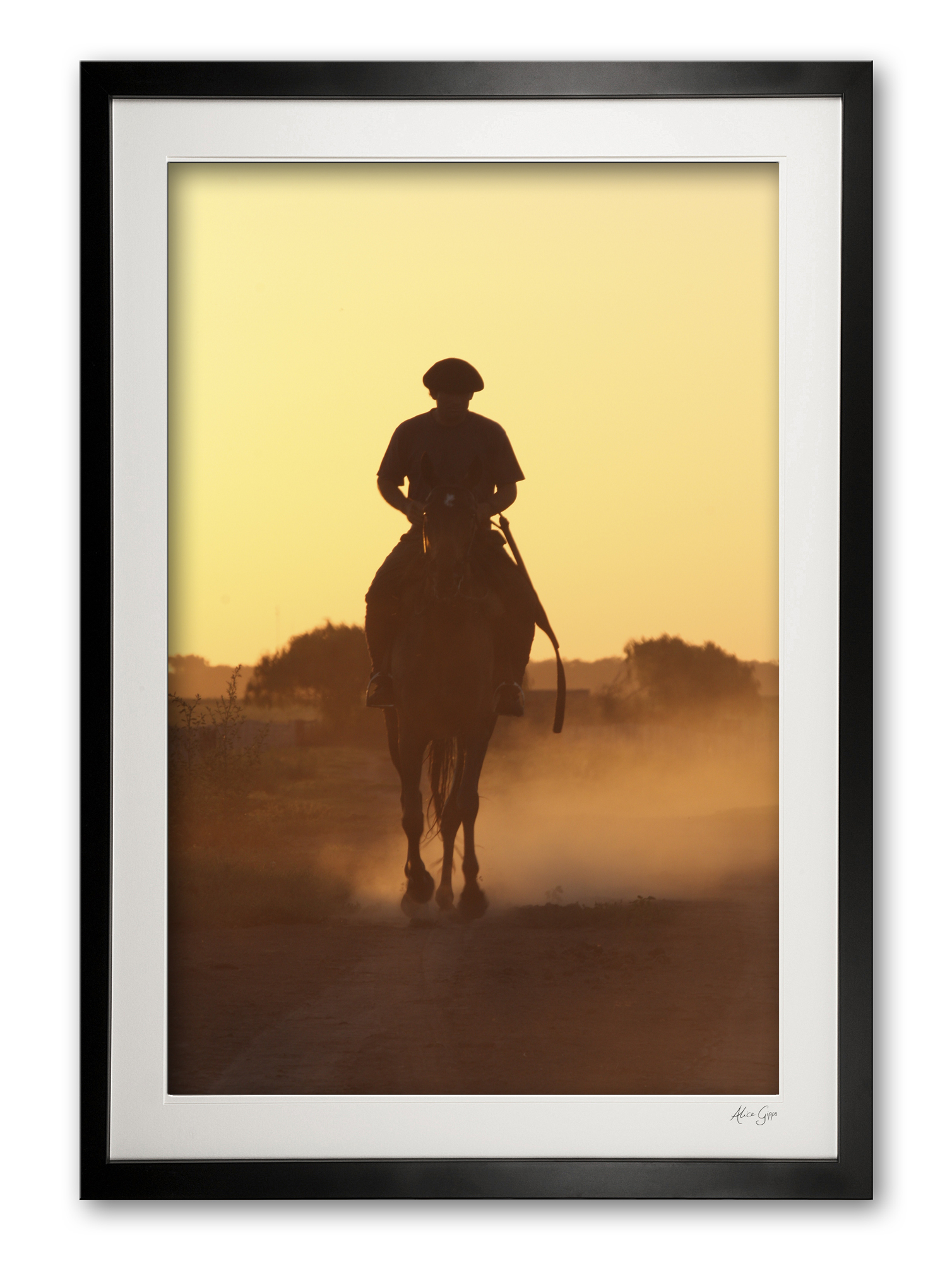 017__gaucho_img_1383_framed