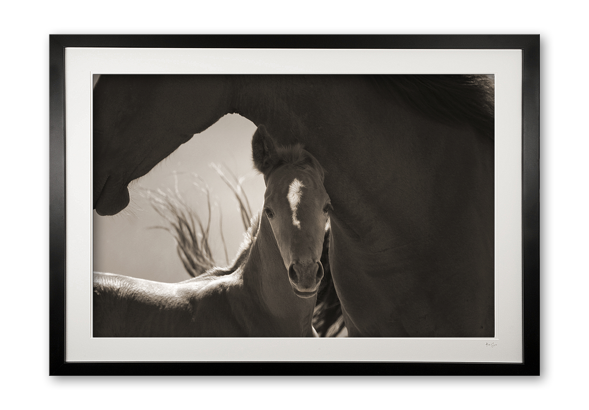 021__mother__son_img_1219__framed