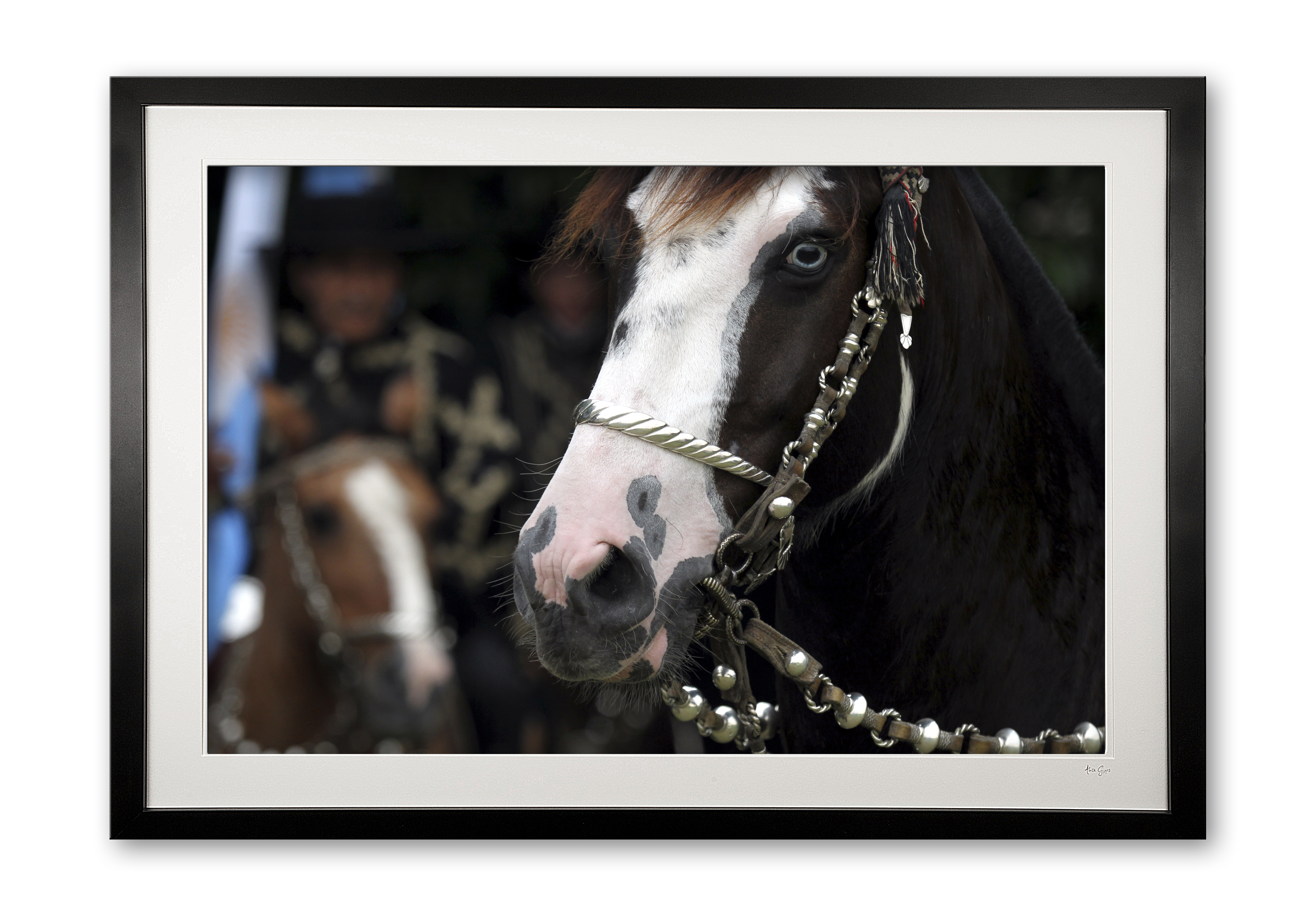 028__c__argentinetack_detail_blue_eyed_horse_e56g0309_framed