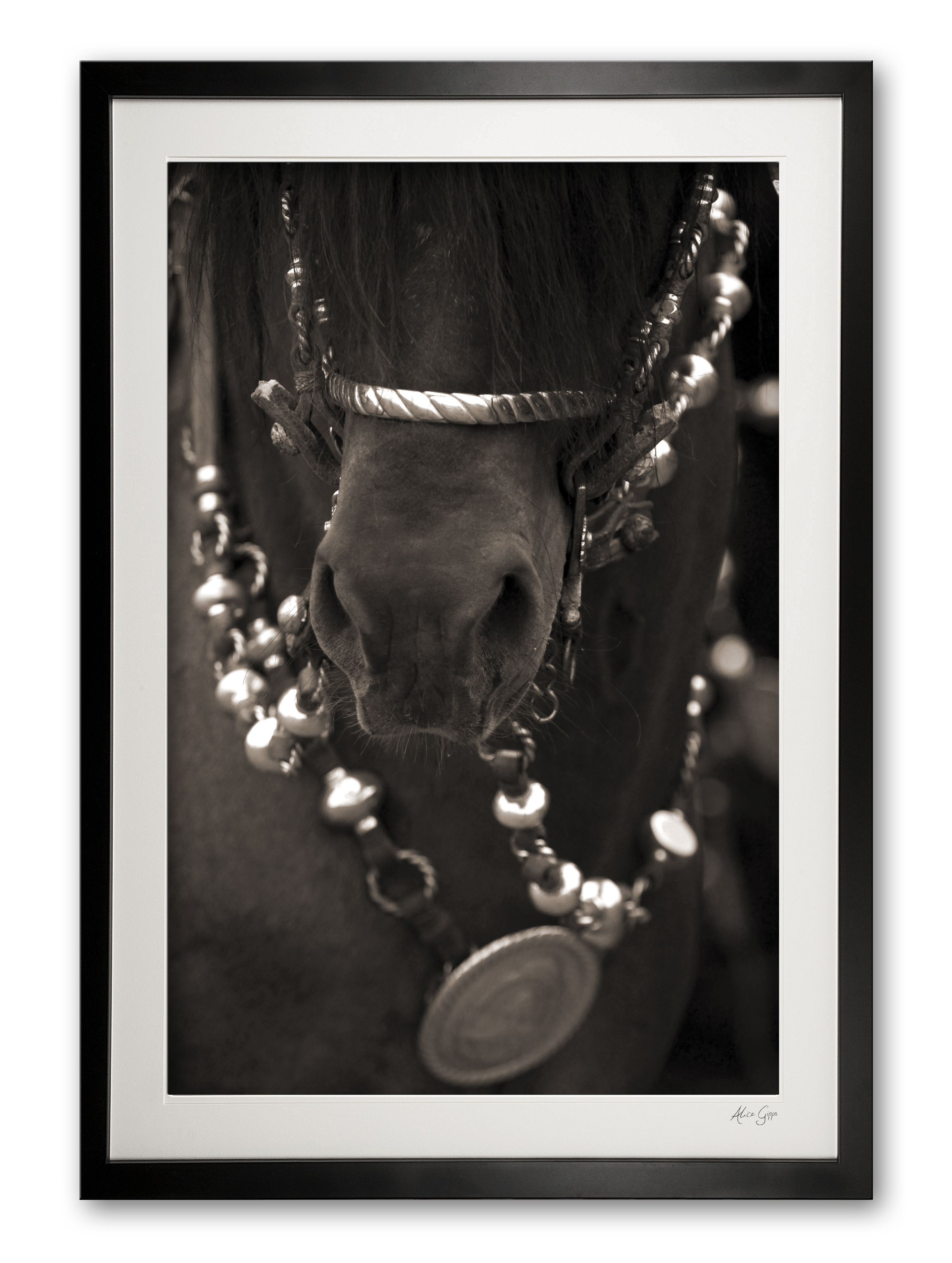 029__b__argentine_tack_detail_in_sepia___breastplate_framed
