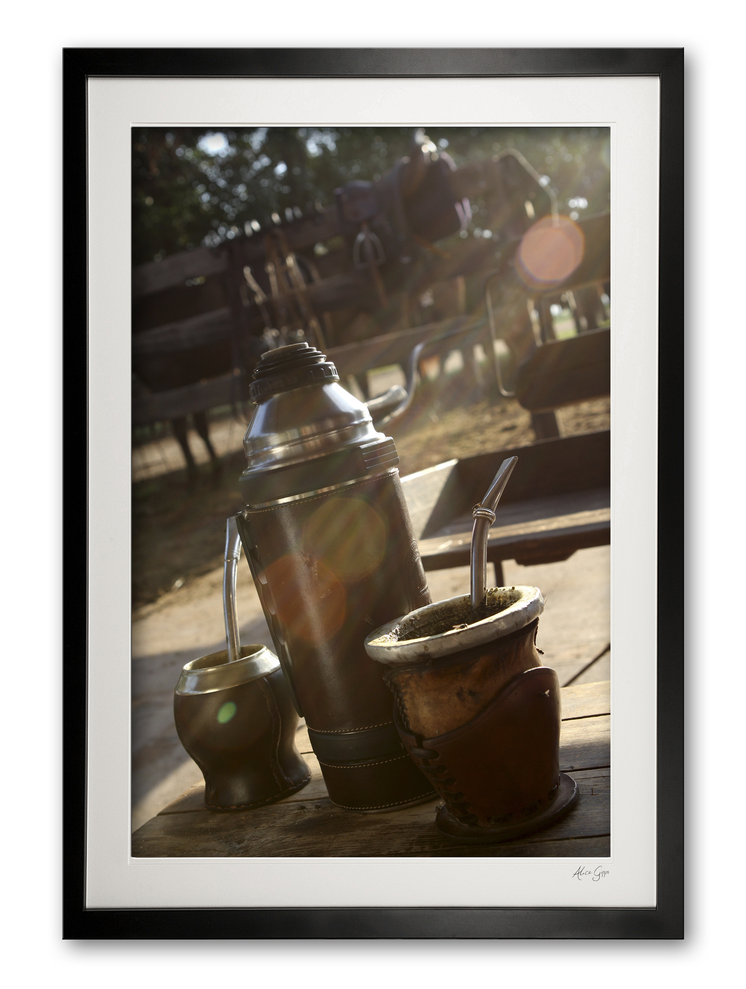 035__morning_mate_img_0323_framed