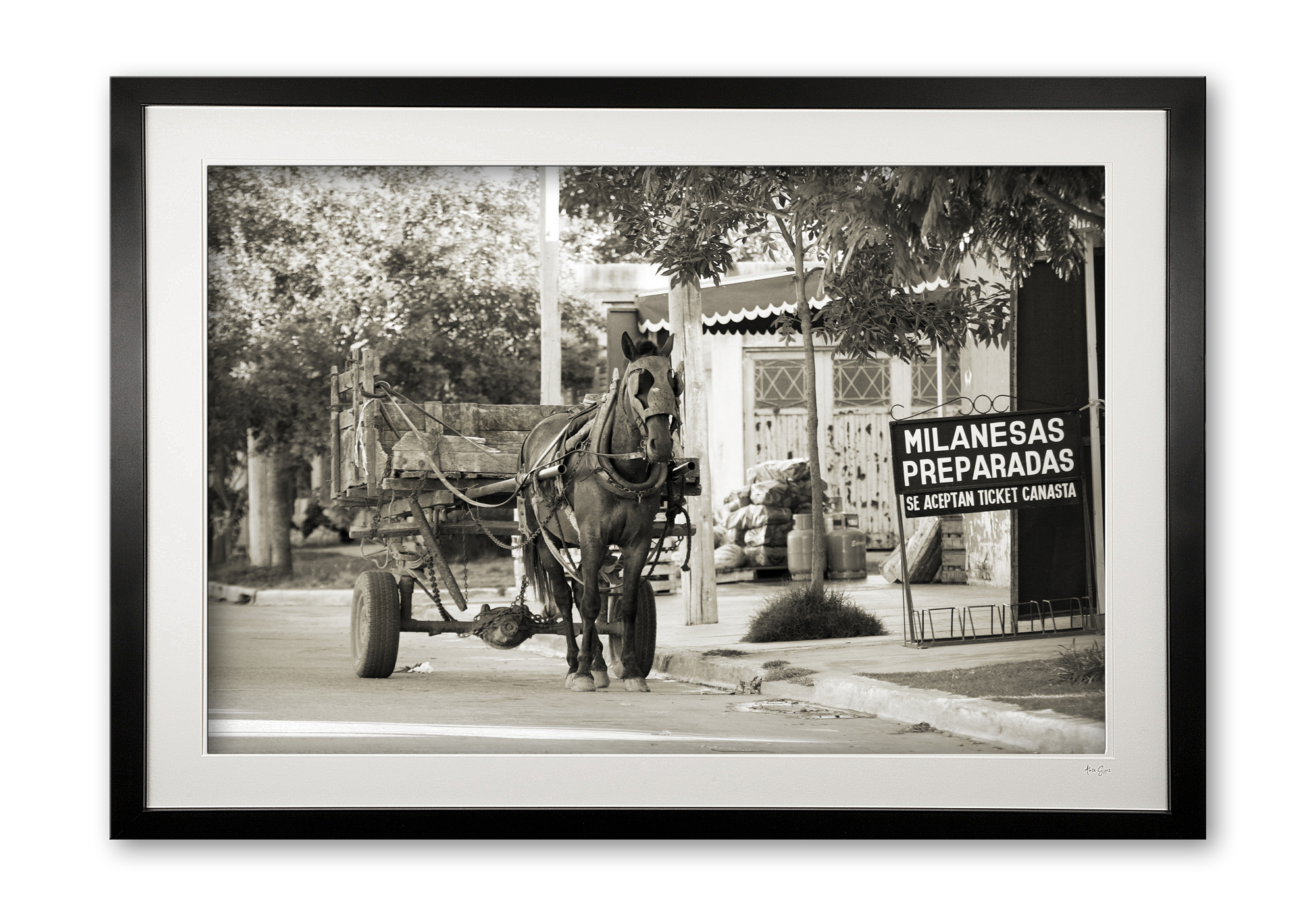 039_b__milaneasas_preparadas_sepia__aa4_framed