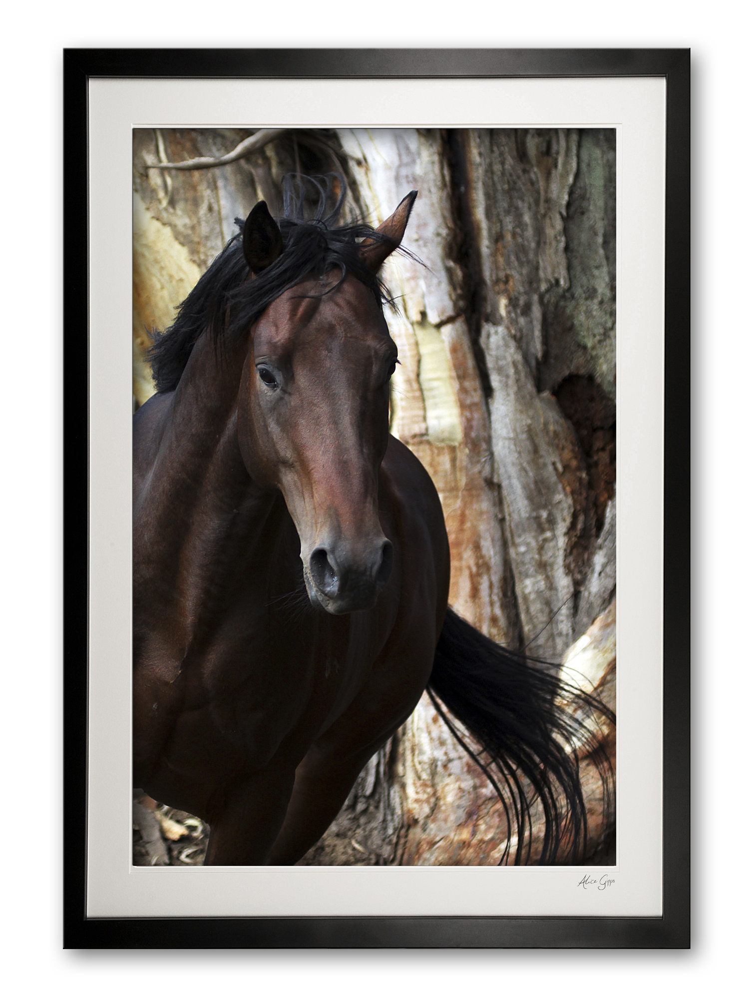 040__guantanamo_img_4335_framed