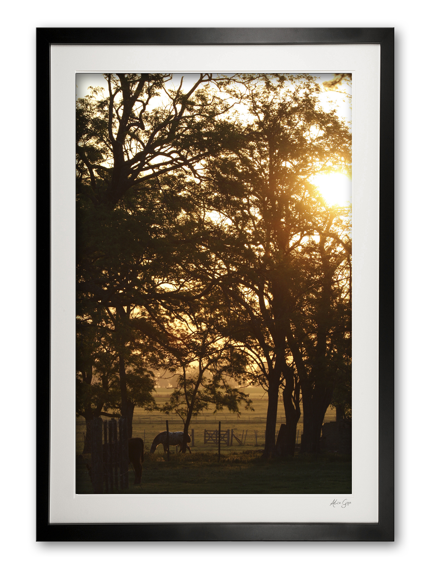 041__estancia_sunset_img_5611_framed
