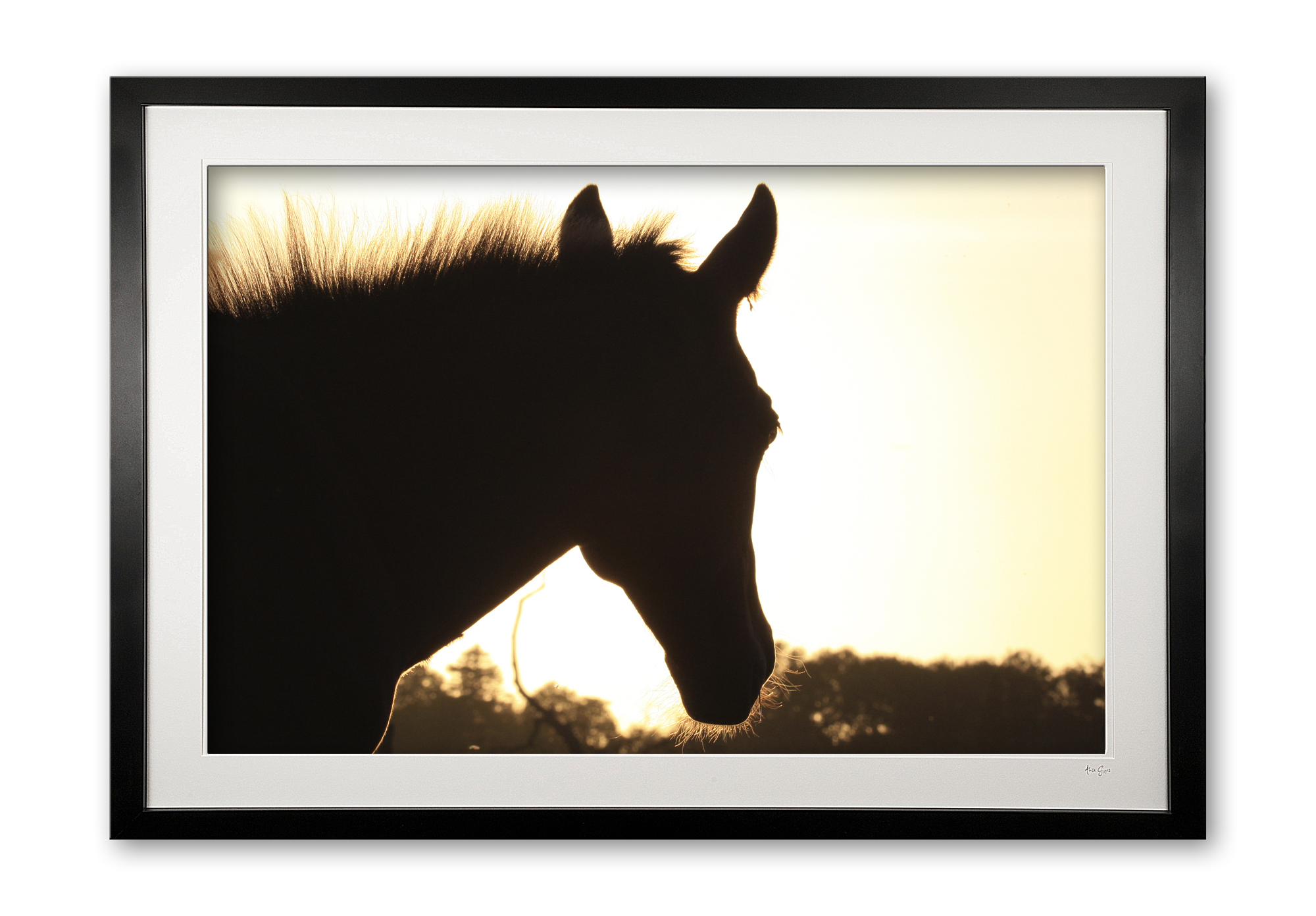042__silhouette_075x1480_framed