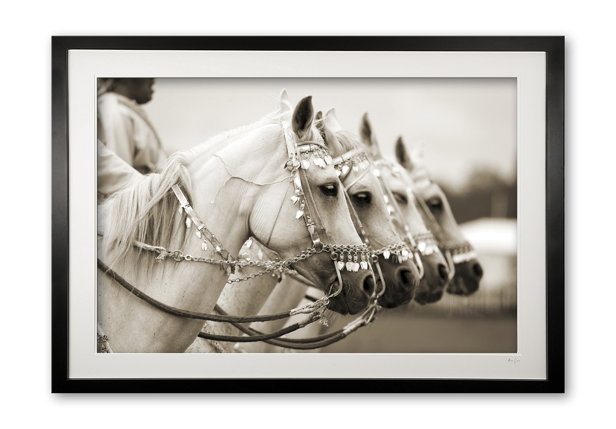 046__majestic_sepia_e56g7160_sepia_framed