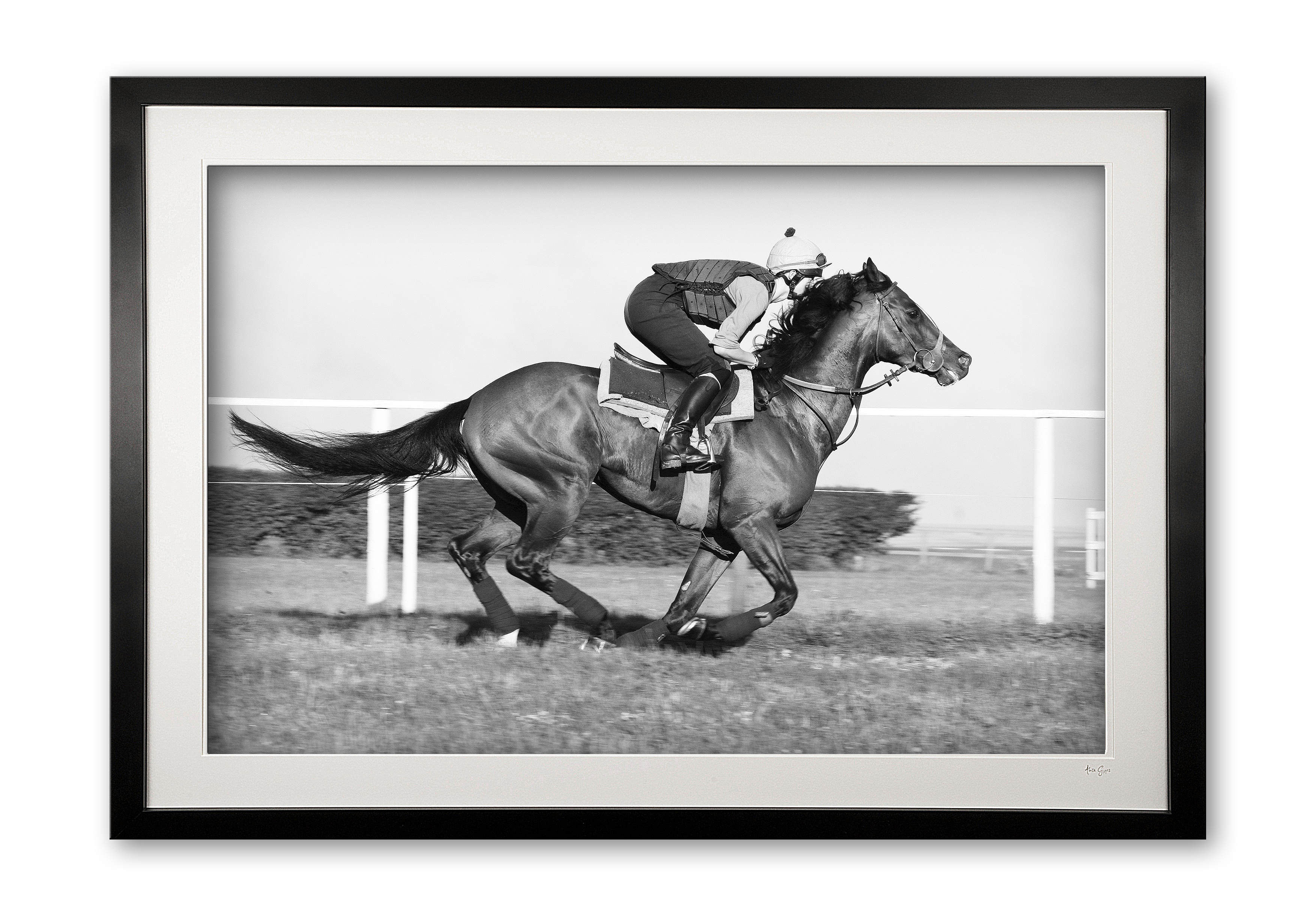 048_m__racehorse_img_3265_bw_ii_framed