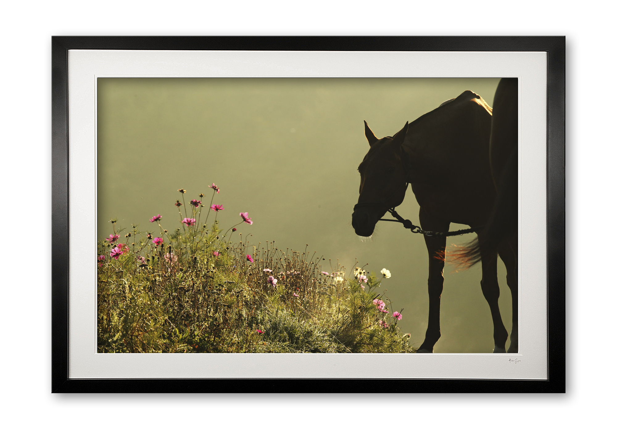049_a_wildflower_meadow_e56g3946_framed