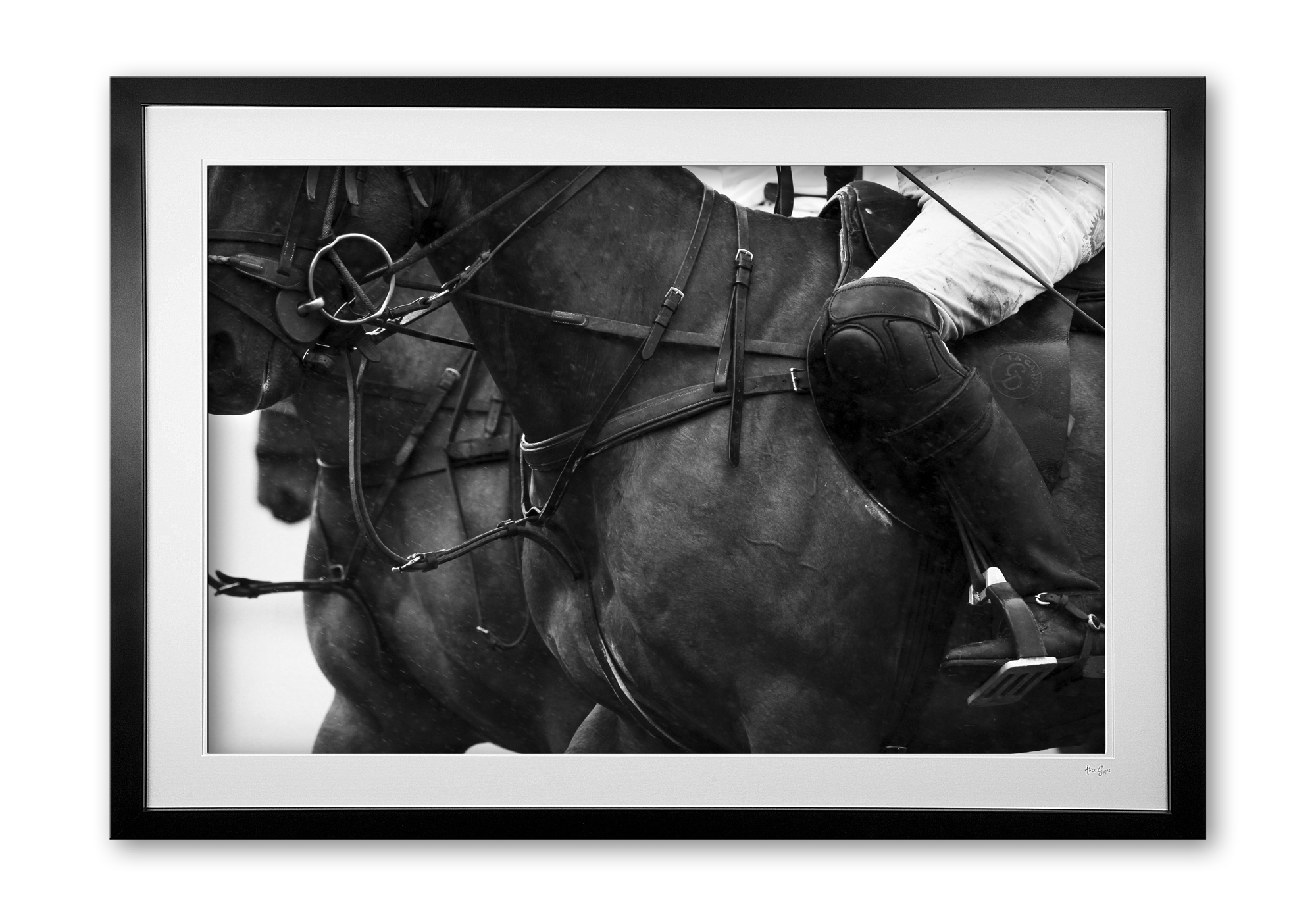 056_b_polo_whites_ii_e56g0850_framed_bw