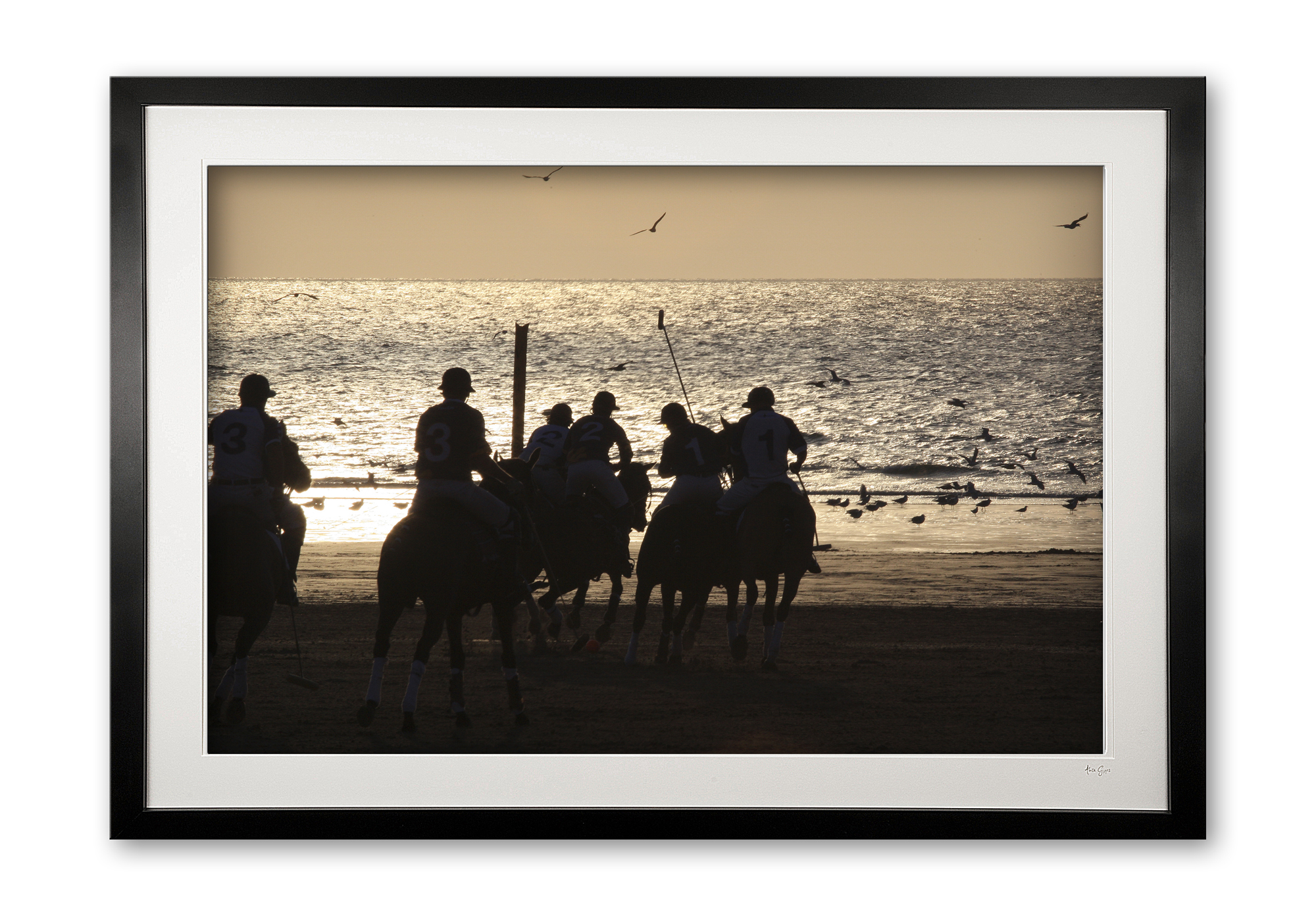058__beach_polo_075x1932_framed