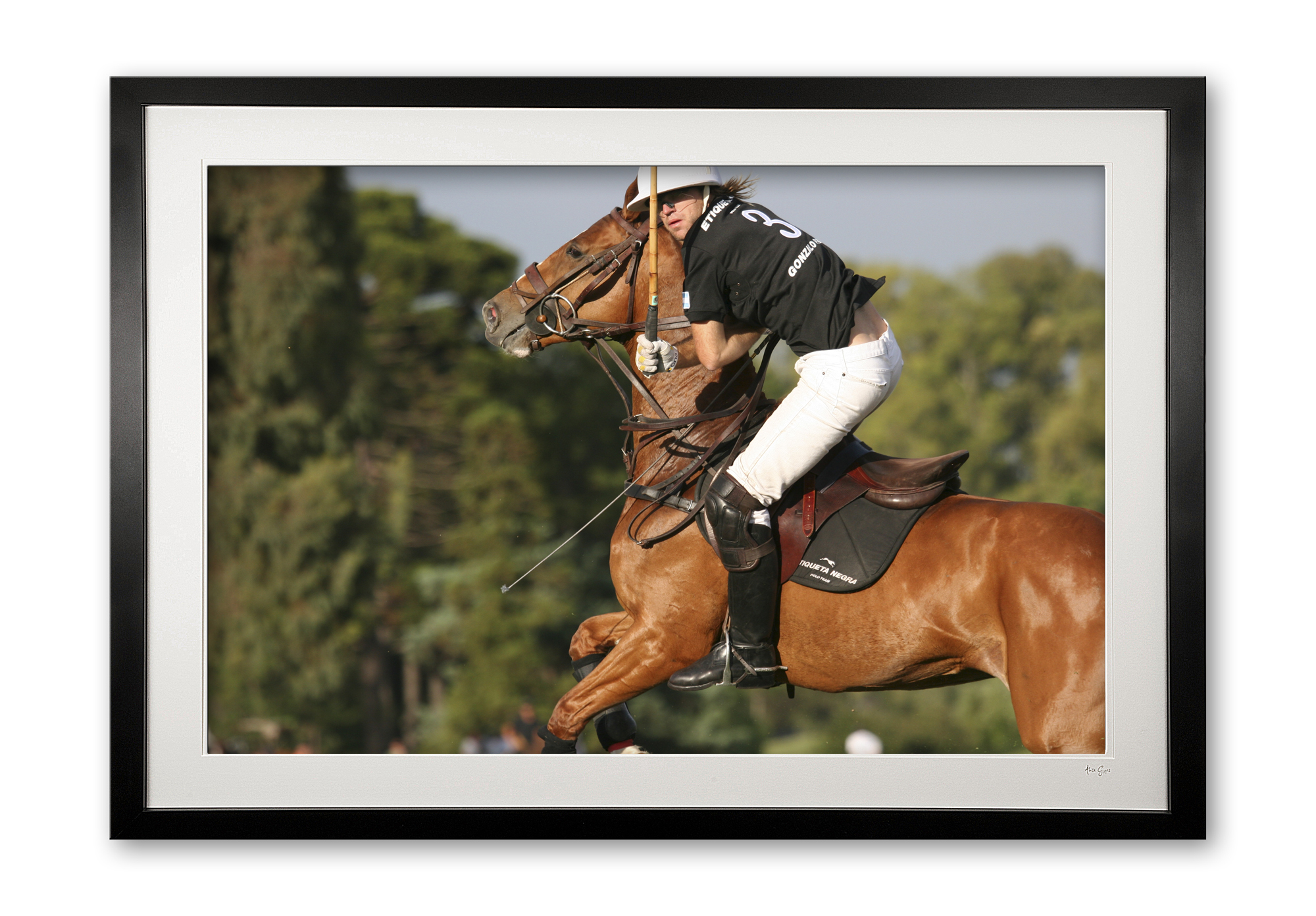 065_a__gonzalito_ii_img_0781_framed