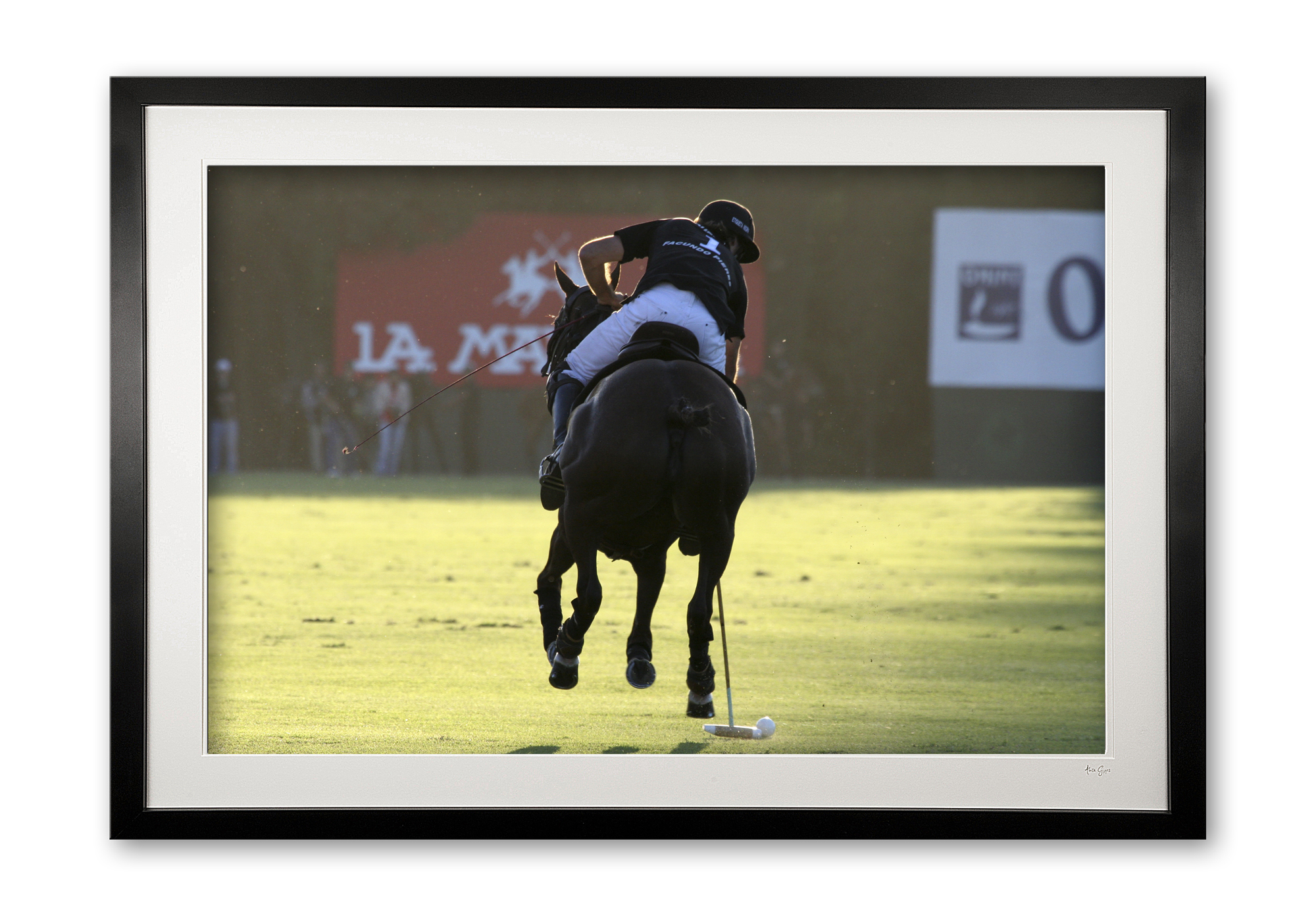065_c__polo_silhouette_img_7510_framed