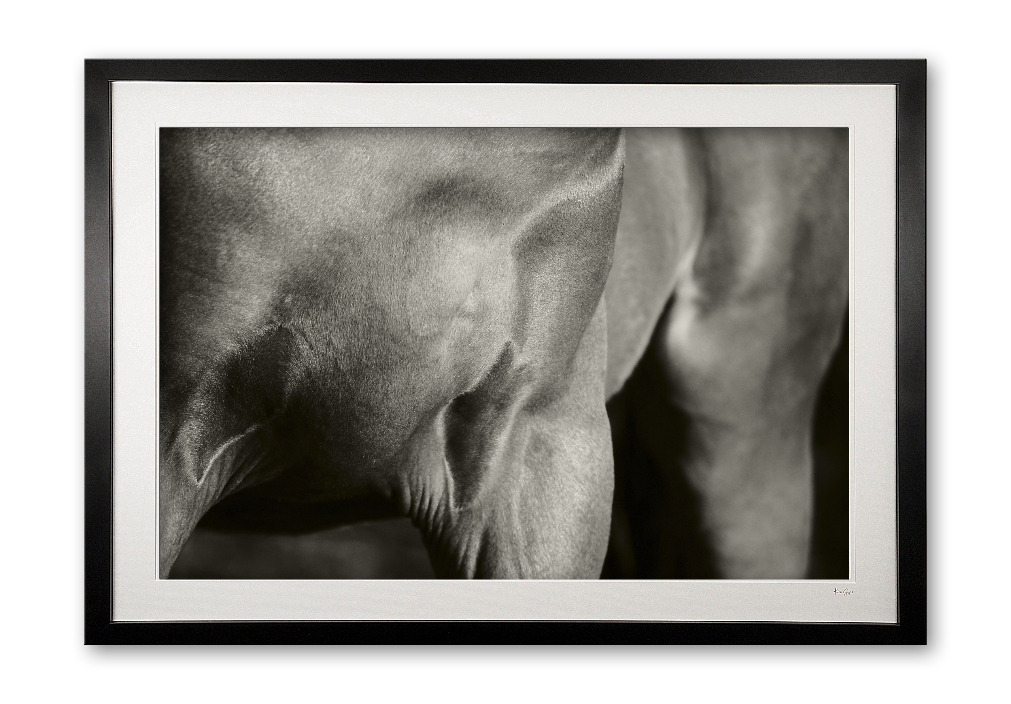 069_c__equine_sculpture_ii_sepia__special_edition_of_25_framed_1370298691
