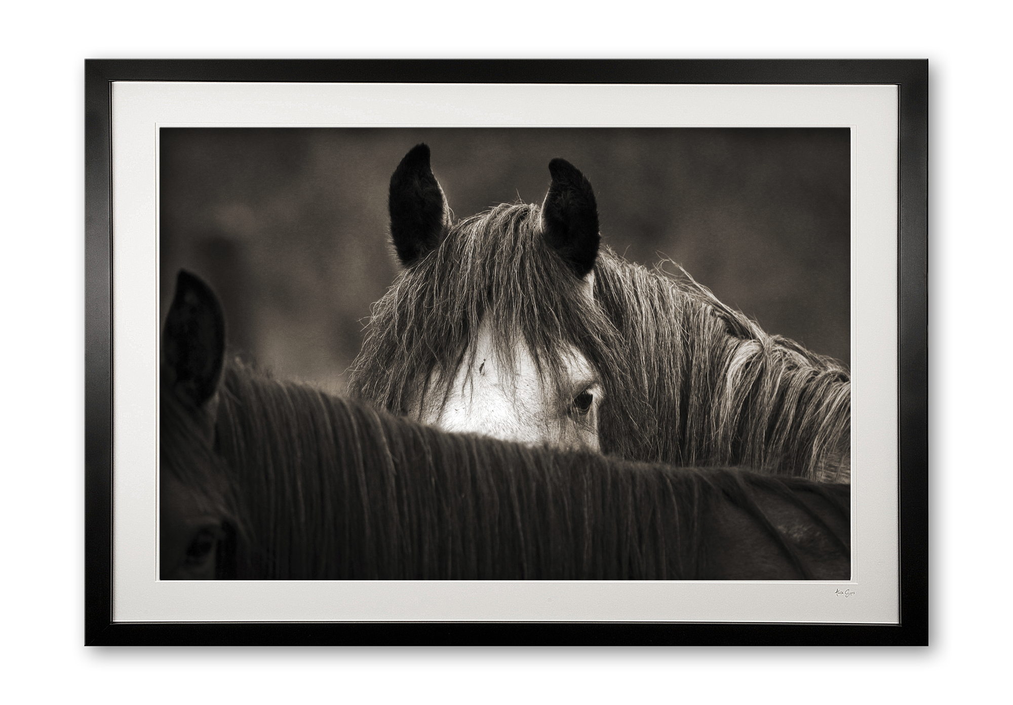 077__peekaboo_e56g0224_framed