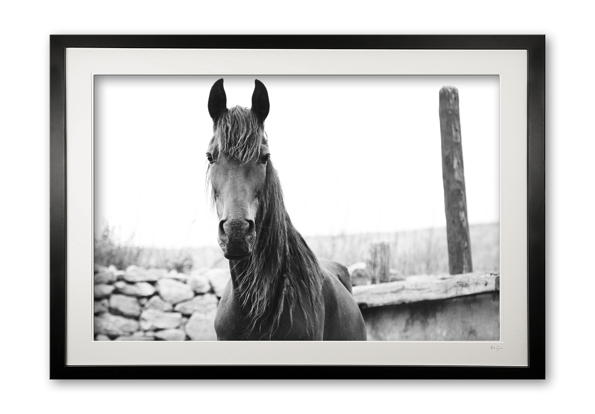 078__tousled_e56g0253_bw_frame