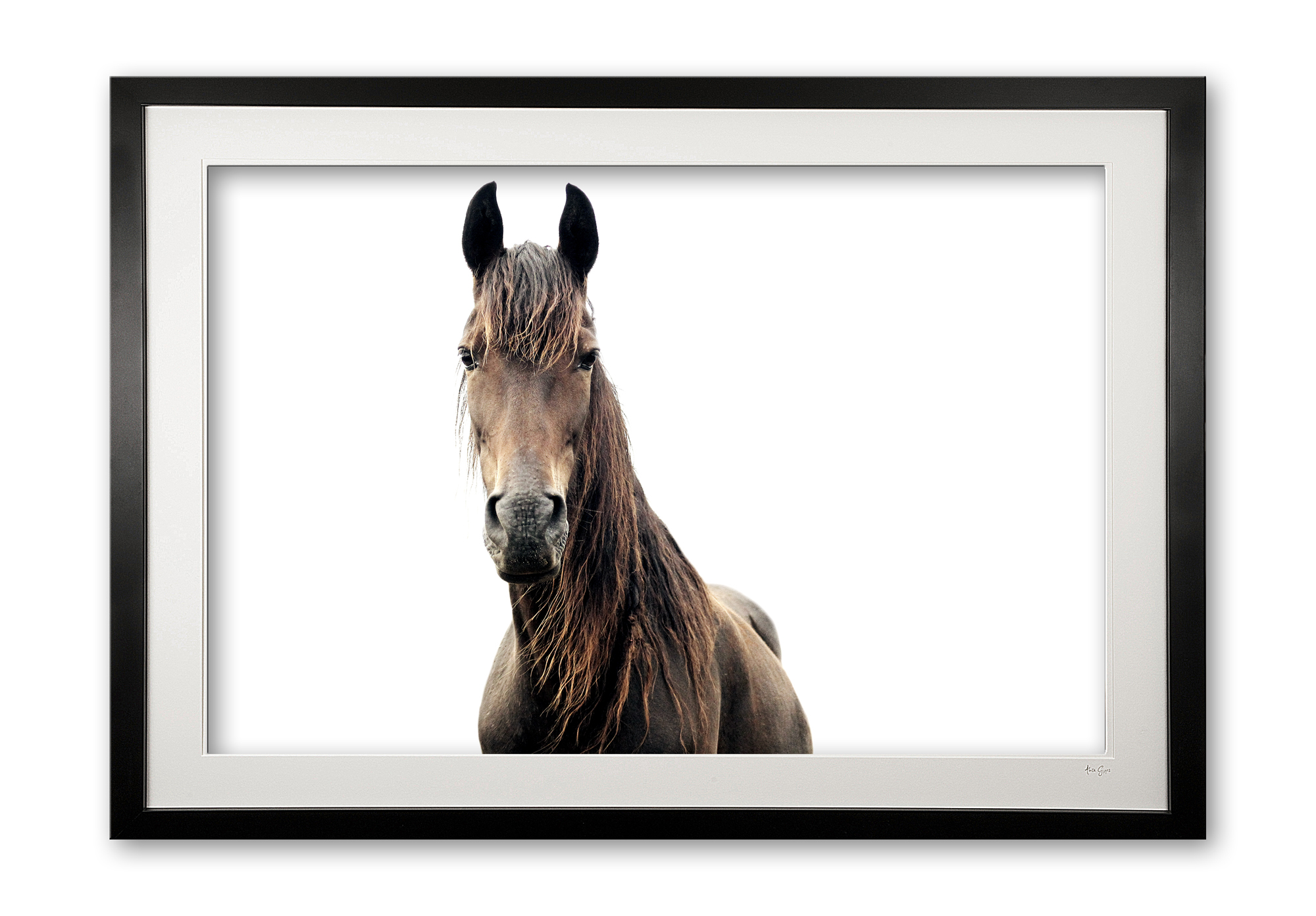 078__tousled_e56g0253_framed