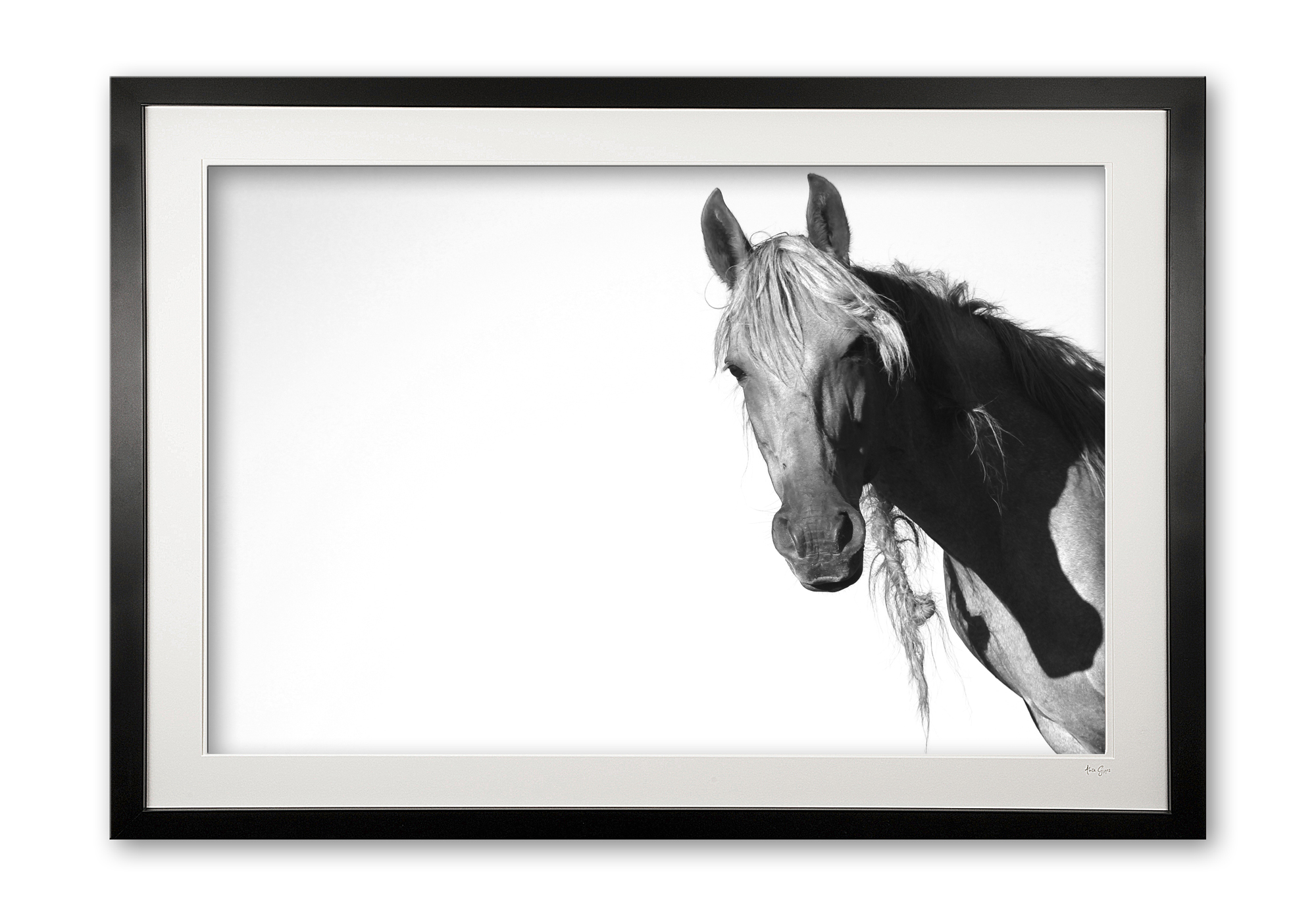 081_a__peruvian_paso_i_e56g0883_1_framed