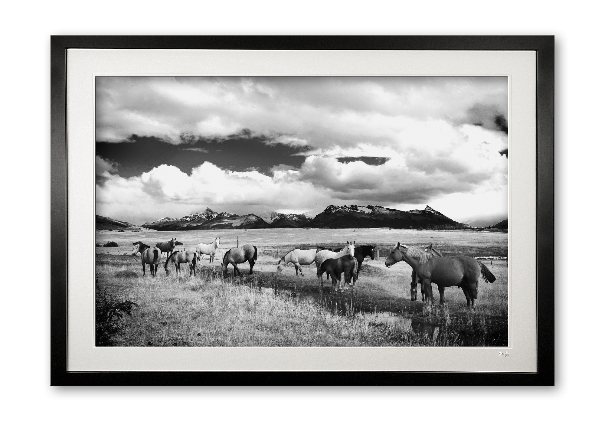 082__criollos_of_calafate_e56g2478_bw_framed