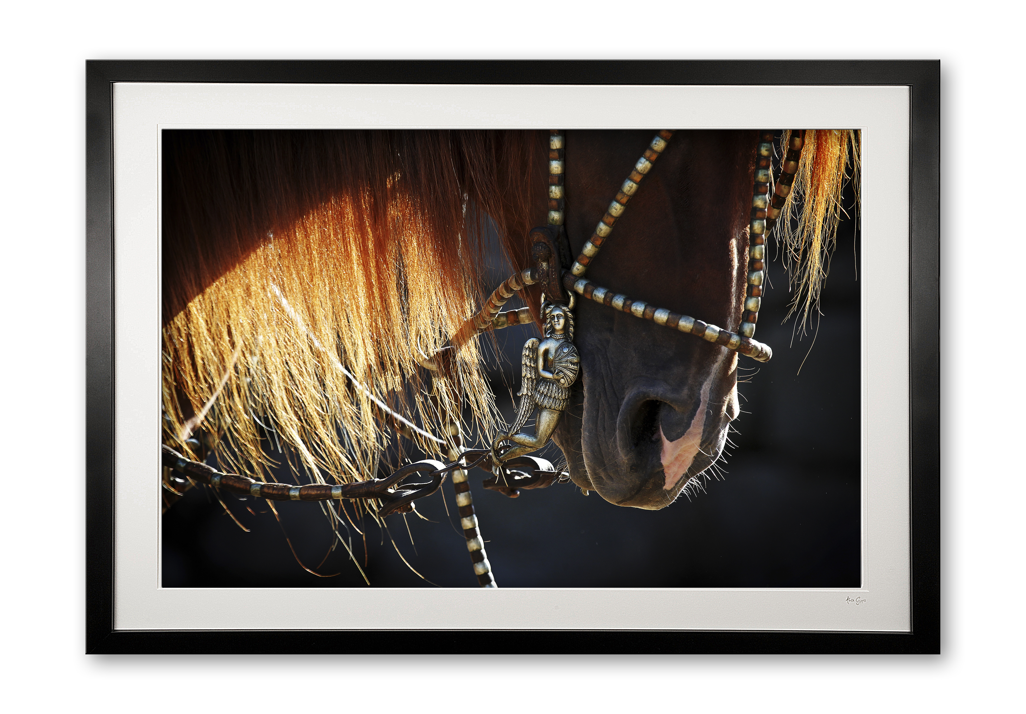086_a__supermario_iii_e56g9575__1_framed_1004875547