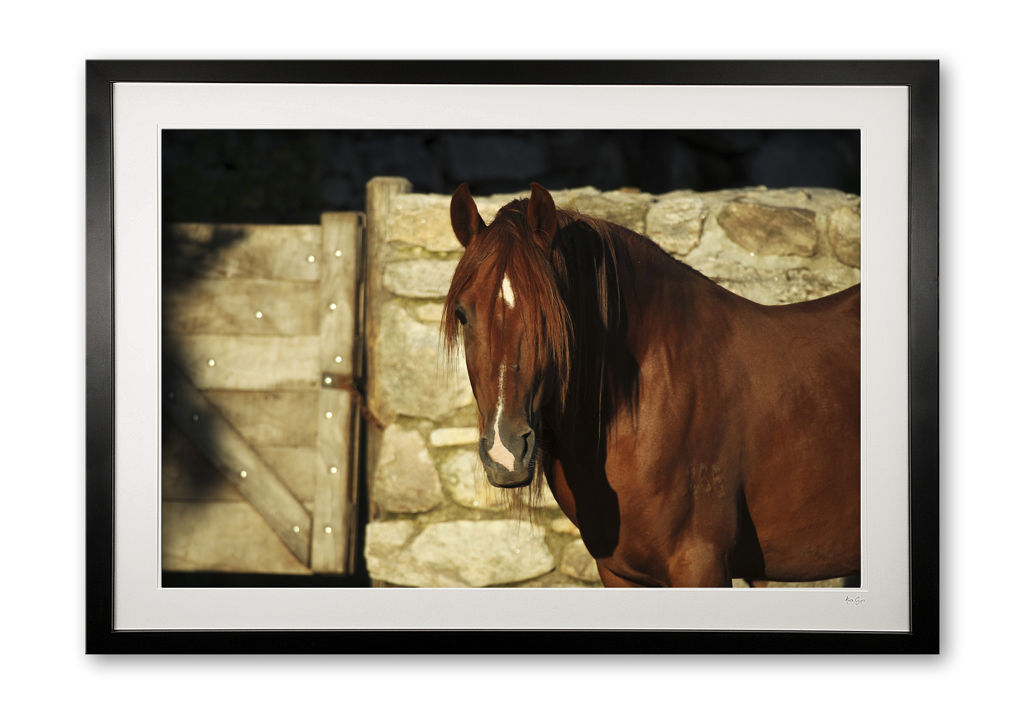 088__supermario_v_e56g9590__framed