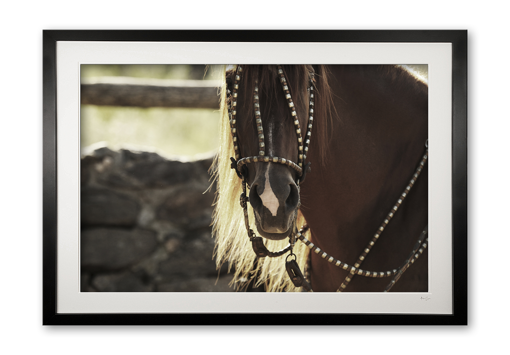 089__supermario_ii_e56g9612_fade_framed