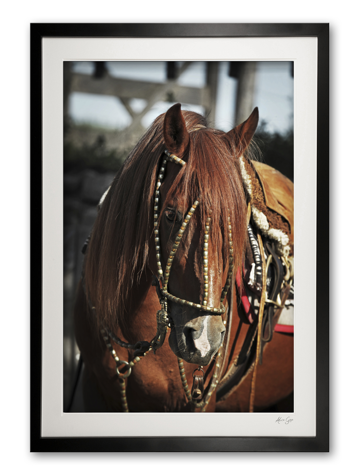 090__supermario_iv_e56g9642_framed