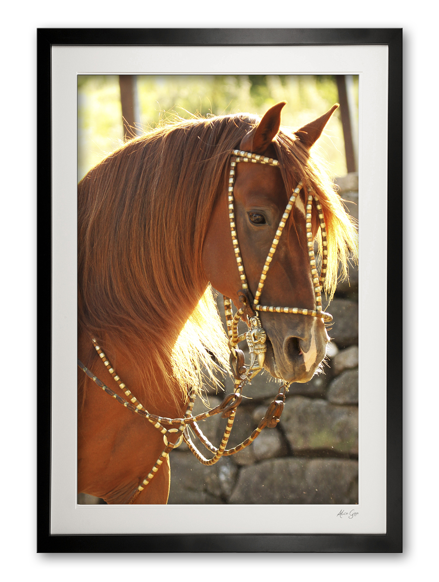 090_b__supermario_v_in_colour_e56g9730_framed