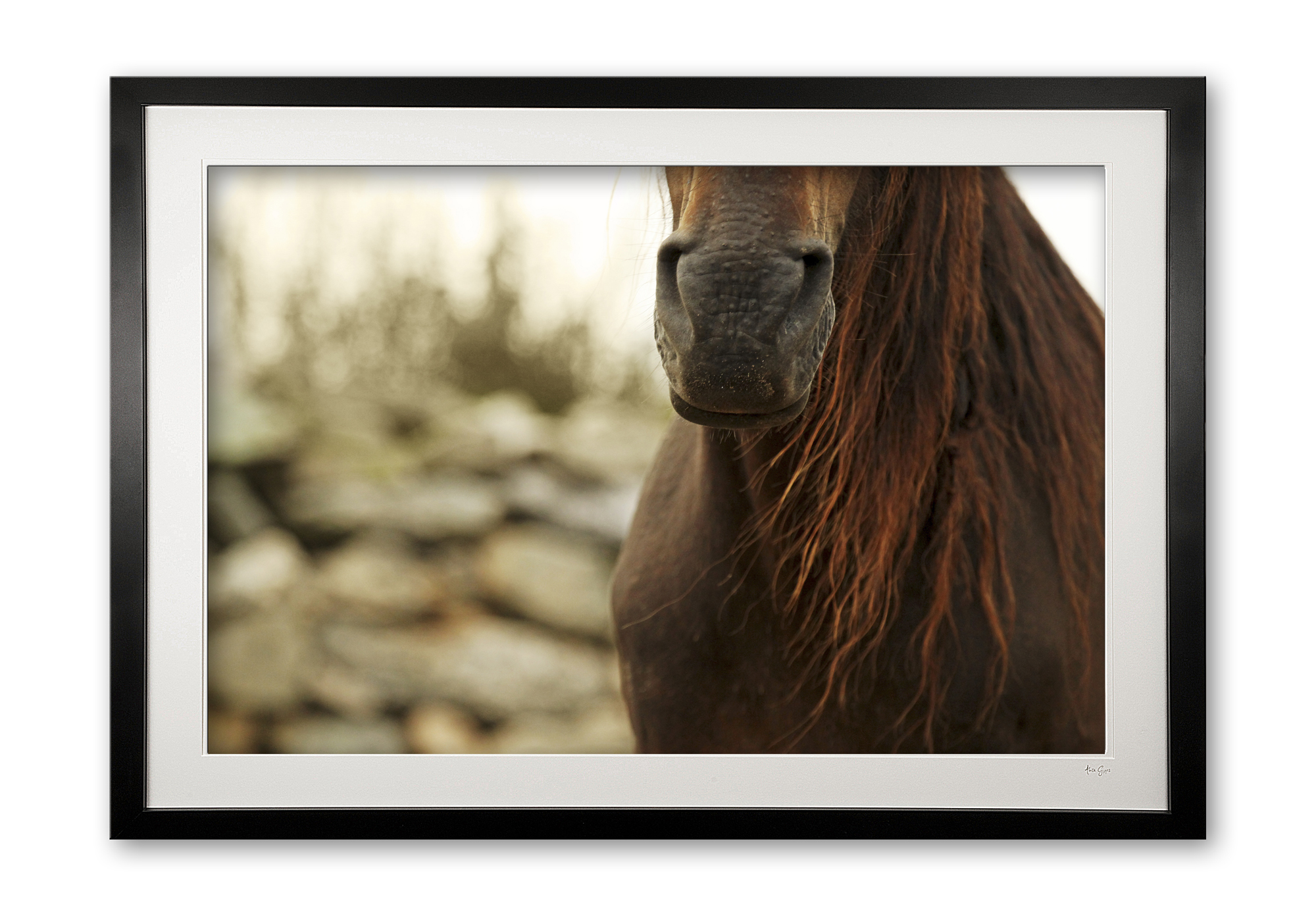 094__tousled_ii_e56g0245__framed