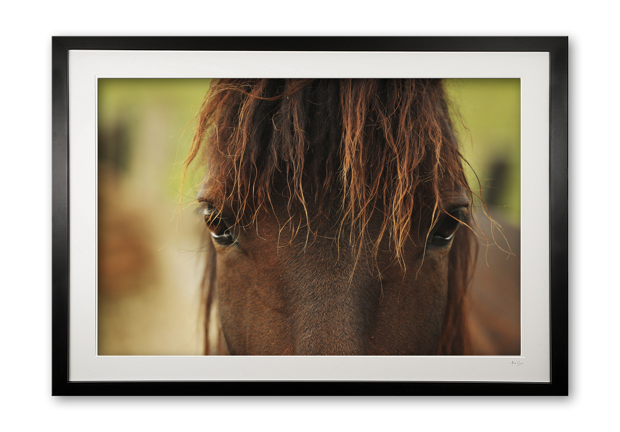 095__tousled_iii_e56g0199_framed