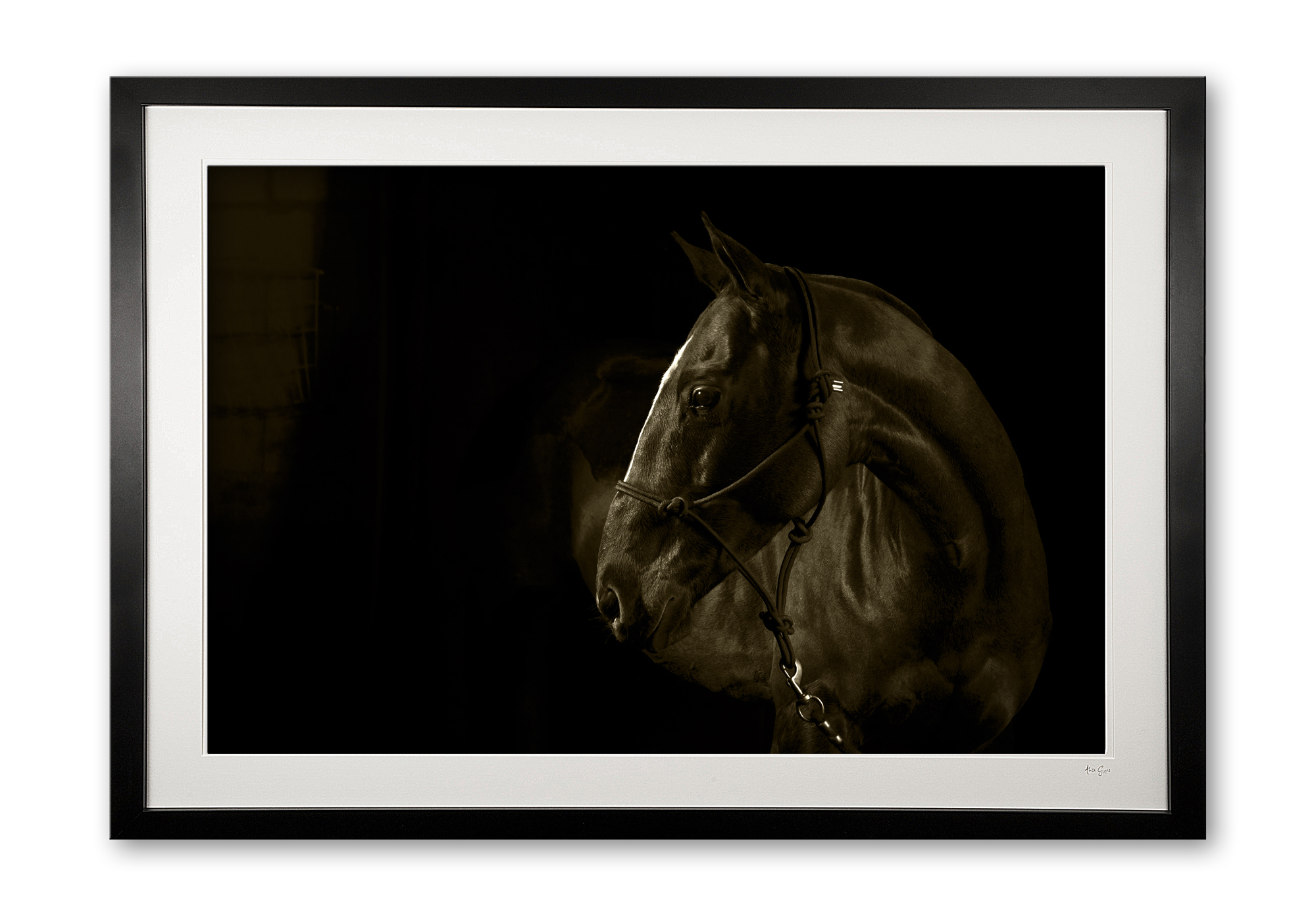 098__phoenix_e56g3532_sepia_framed