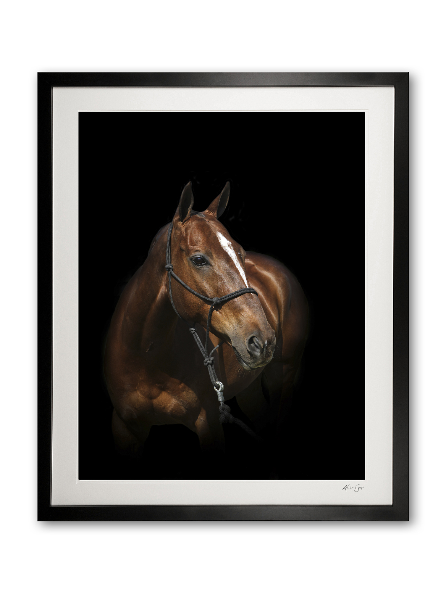 098_b__phoenix_ii_e56g5258_framed