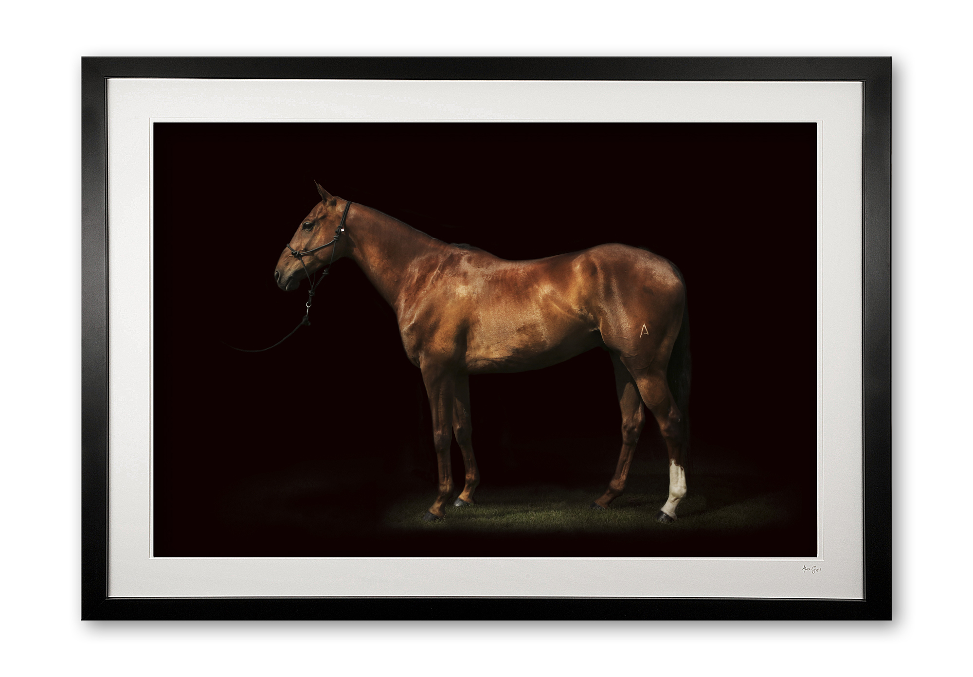 098_c__phoenix_ii_e56g5258