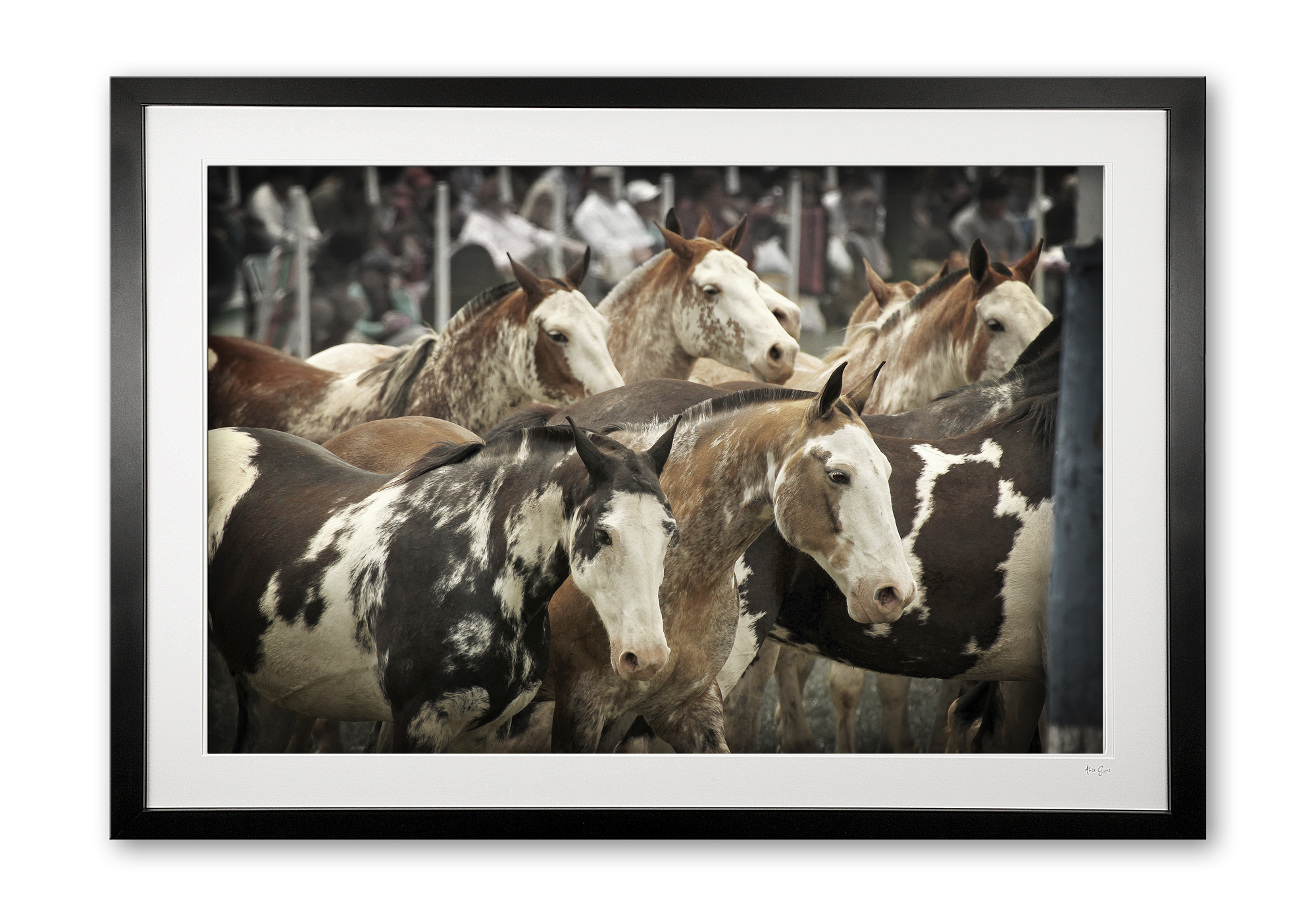 102_a__pintados_e56g6500_3_framed