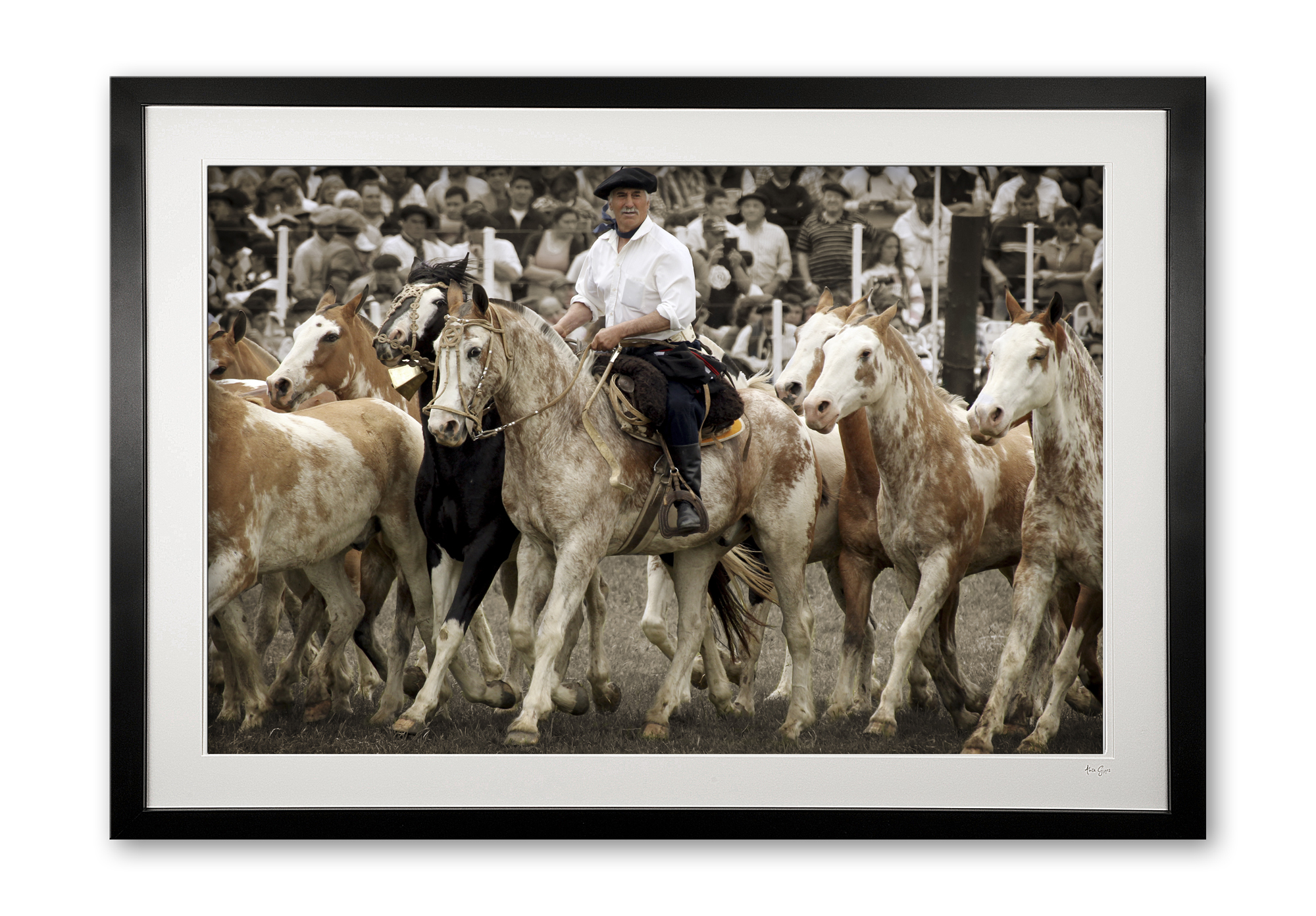 102_b__pintados_ii_e56g6456_framed