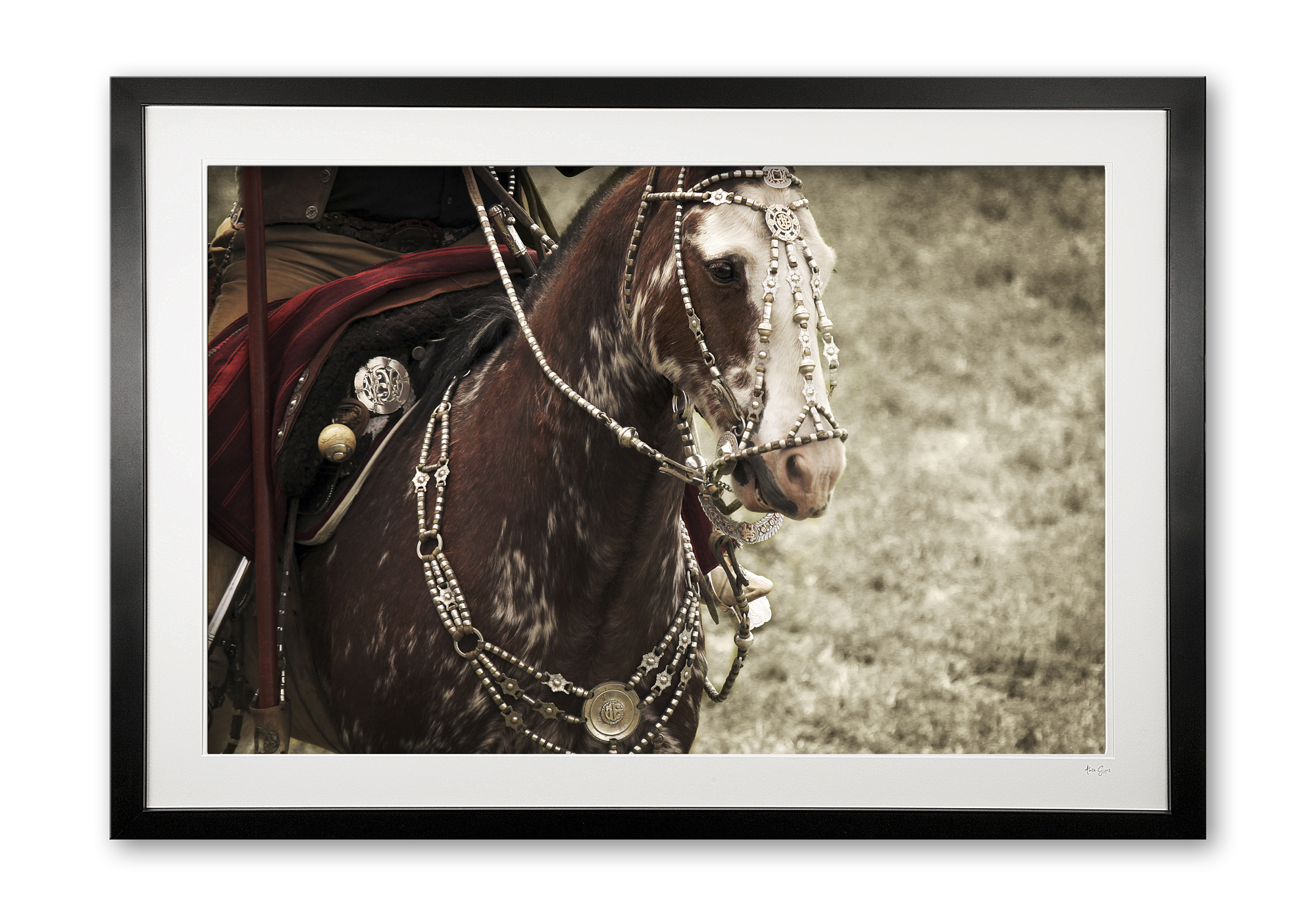 105__silver_tack_e56g6804_framed