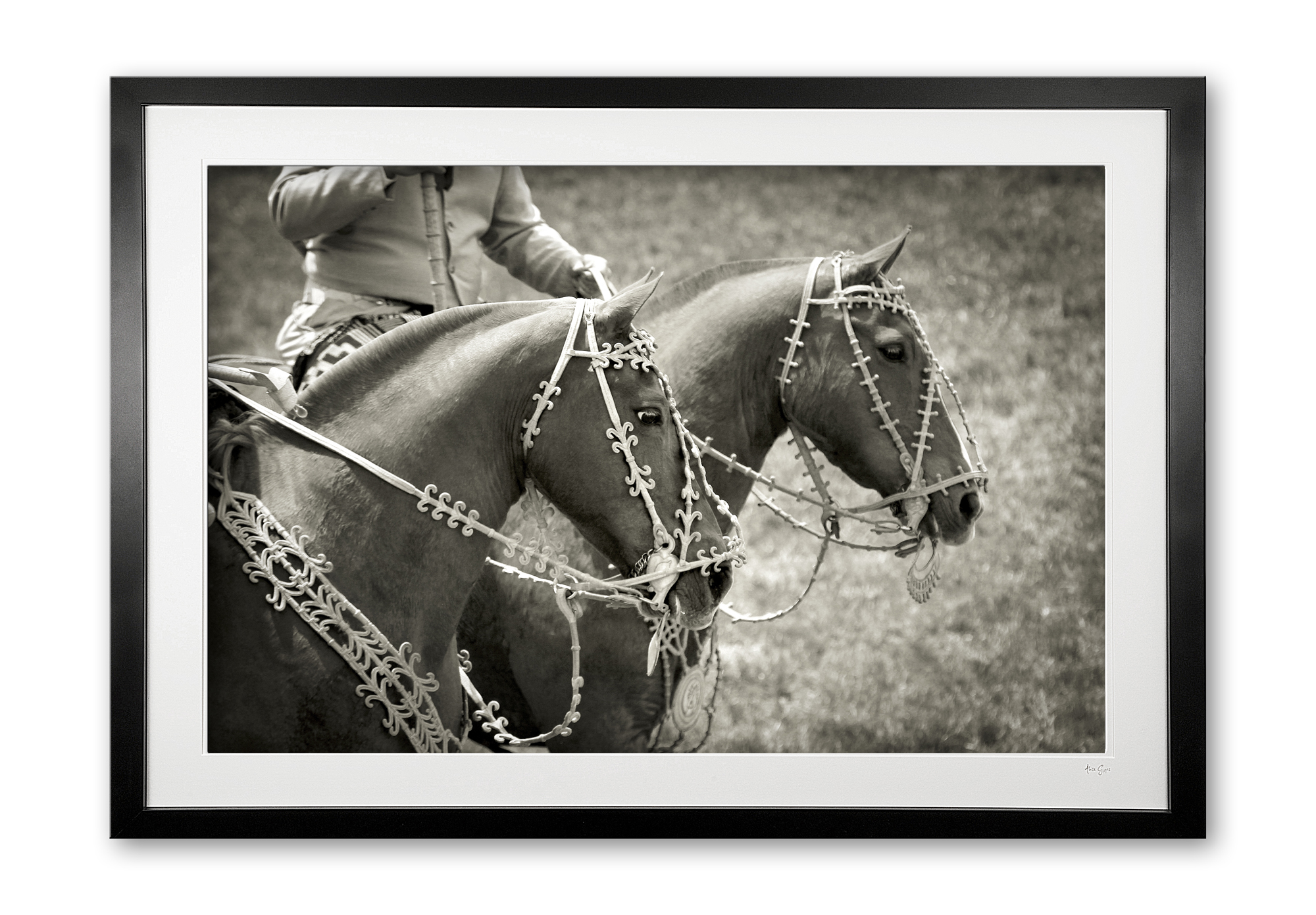 107__rawhide_bridles_e56g6890_framed
