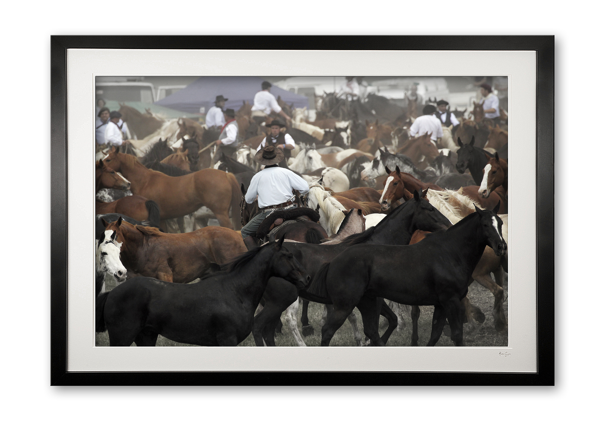 110_d__tropillas_reuniting_e56g2422_framed