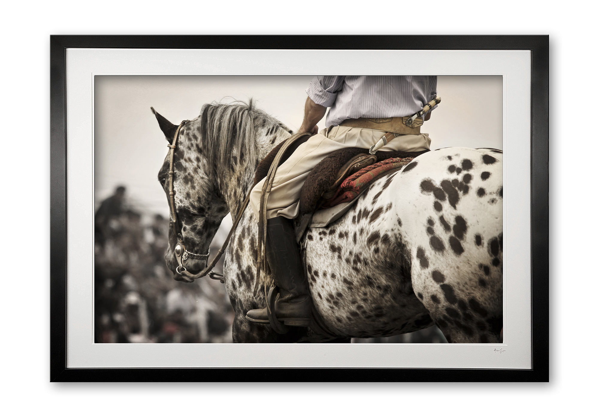111__gaucho_paint_e56g7248_4a_framed