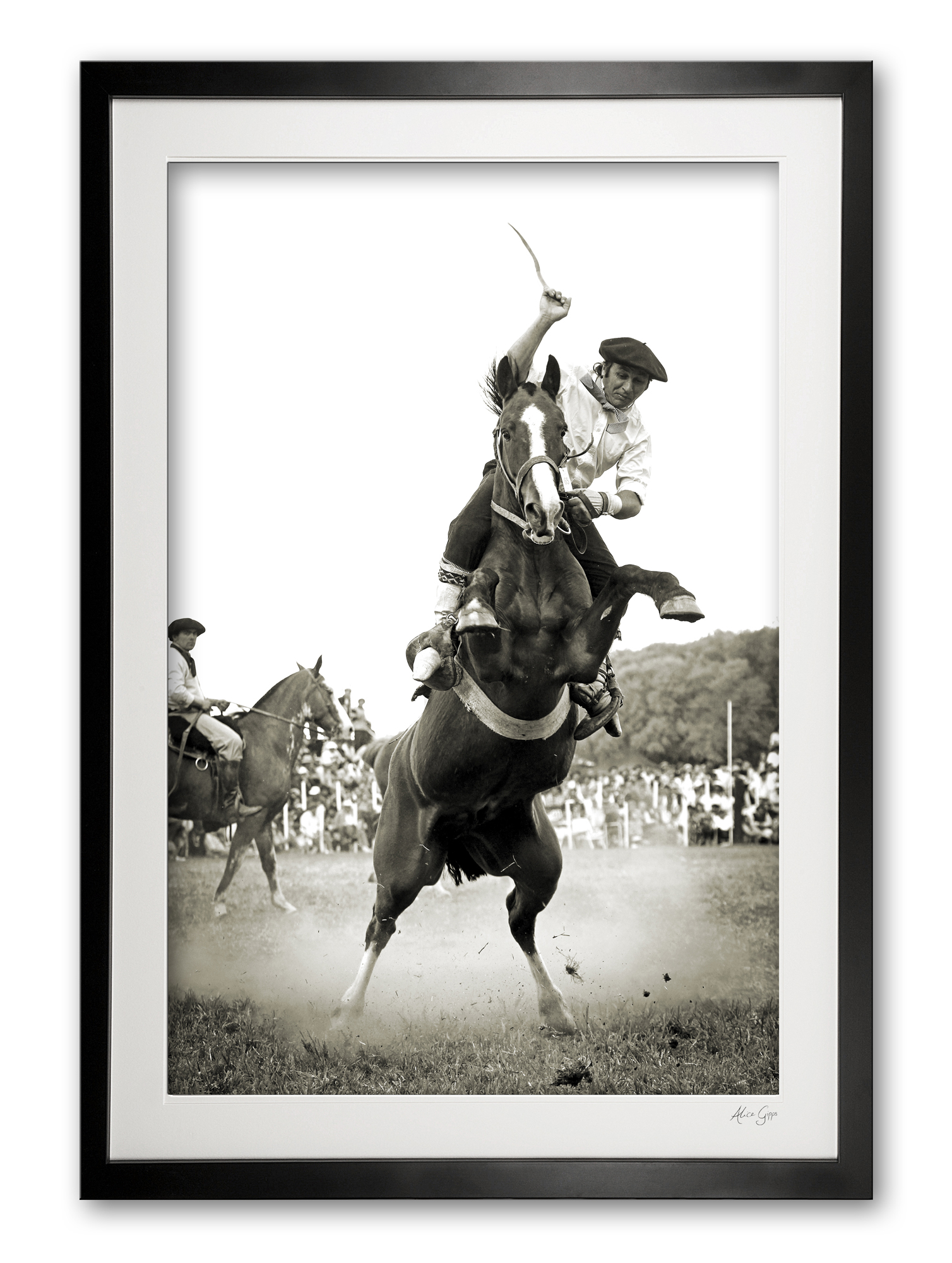 113_e__leap_of_faith_e56g8131_whip_framed