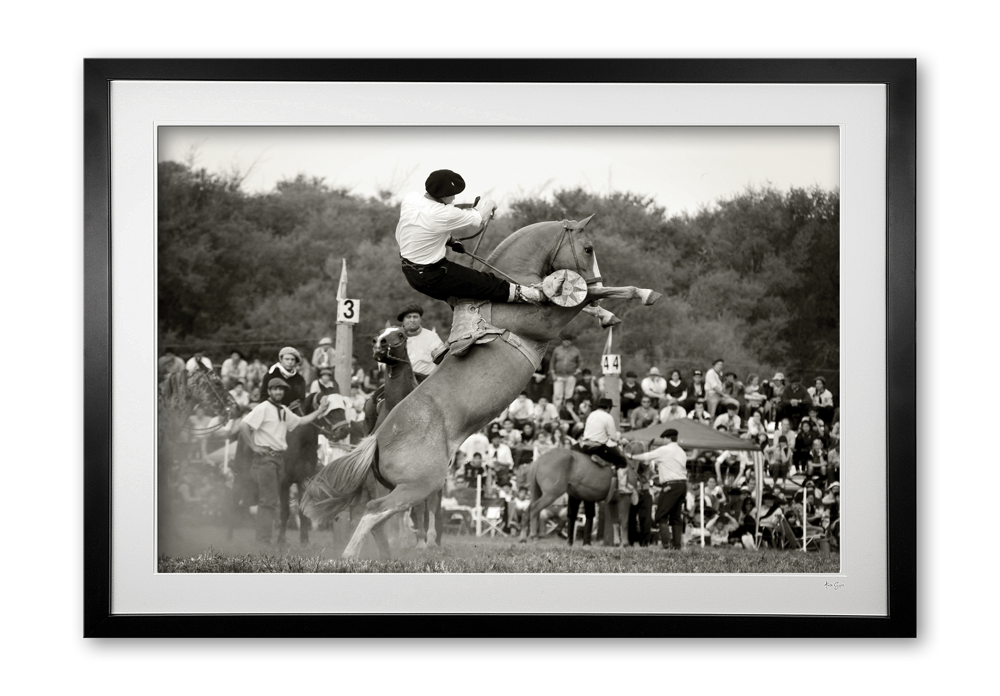 113_f__rodeo_rider_ii_e56g7519_framed