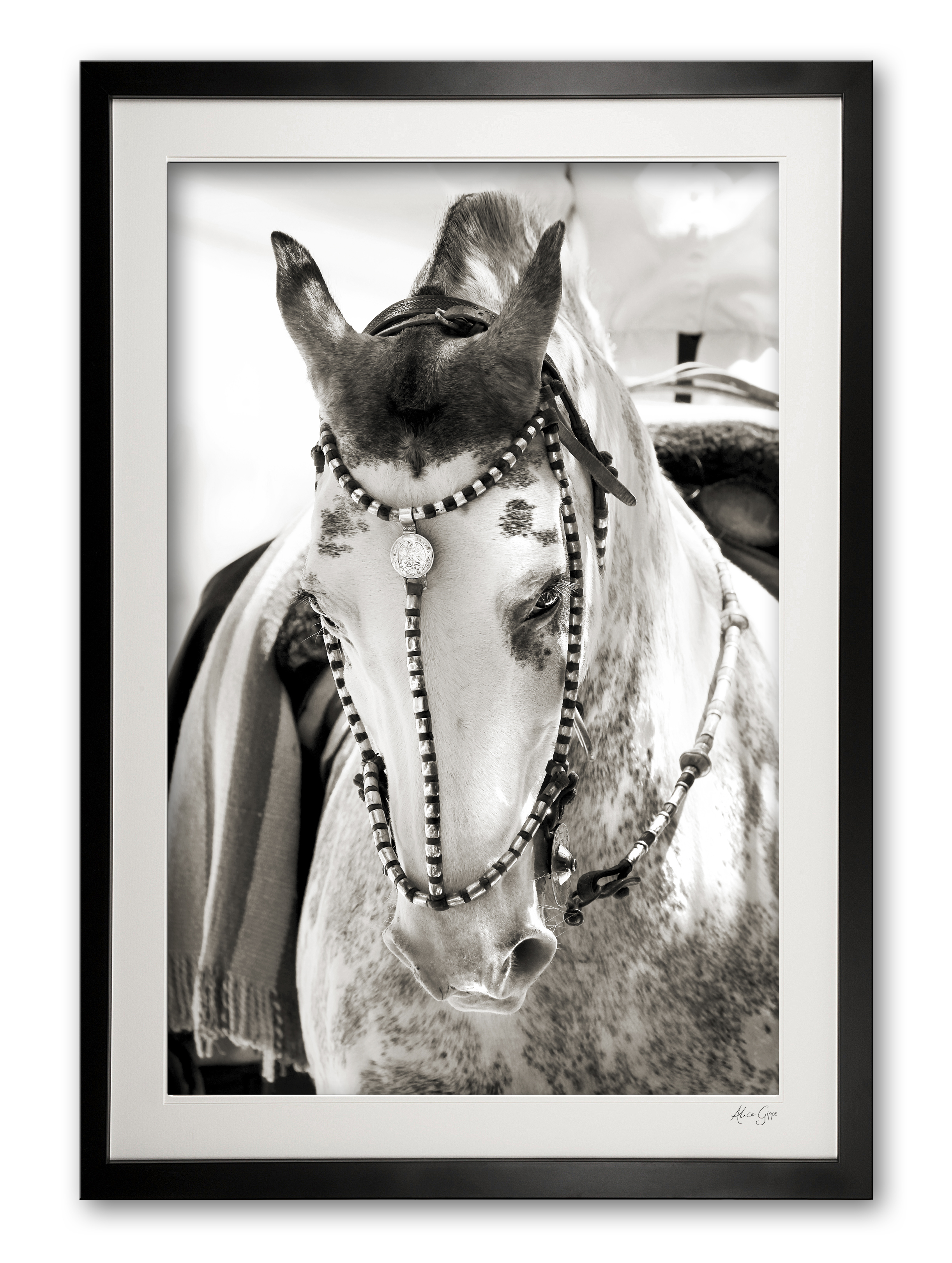 117_a__festival_finery_iv_e56g0001_sepia_framed