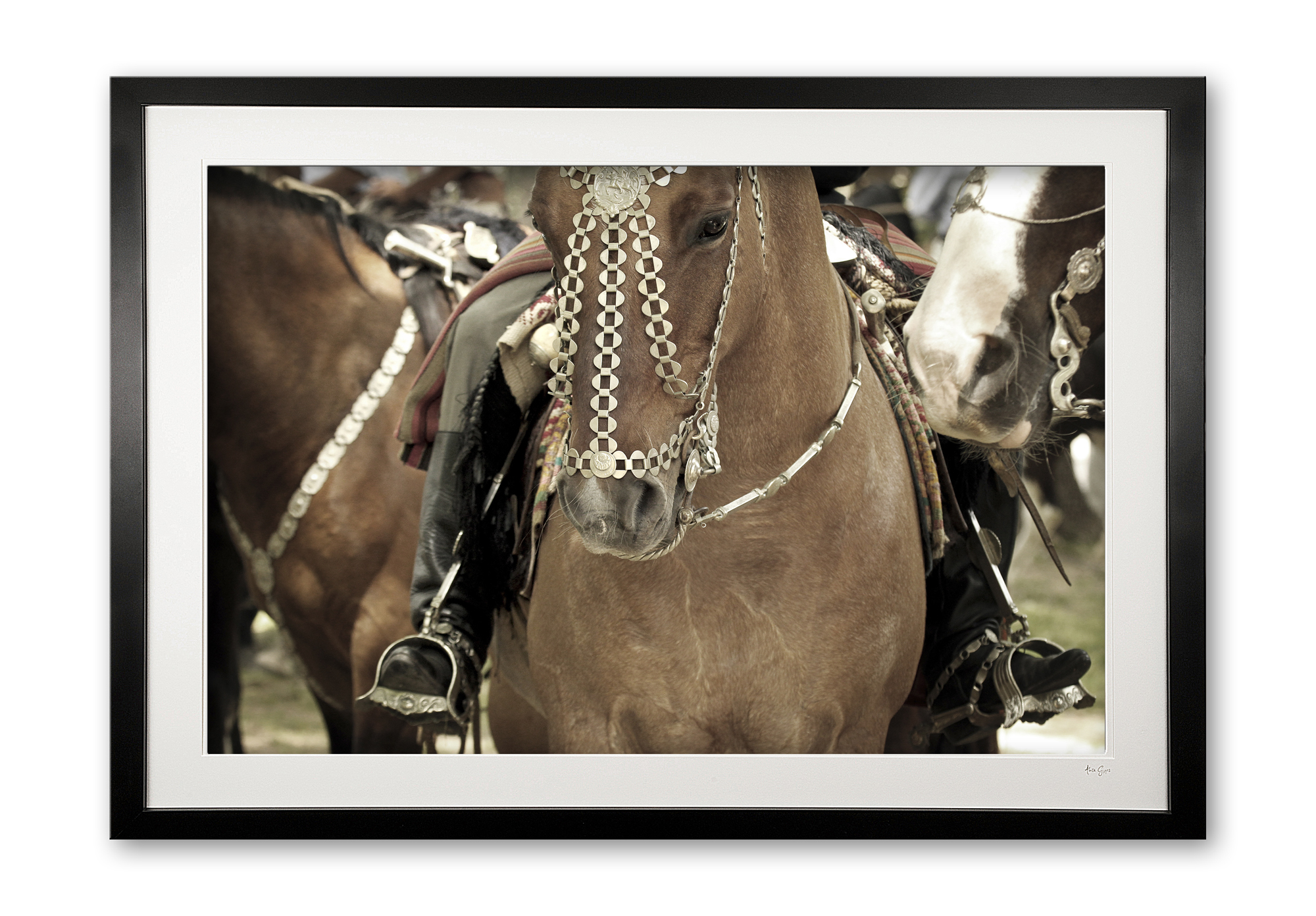 117_b__festival_finery_ii_e56g9245_fade_framed