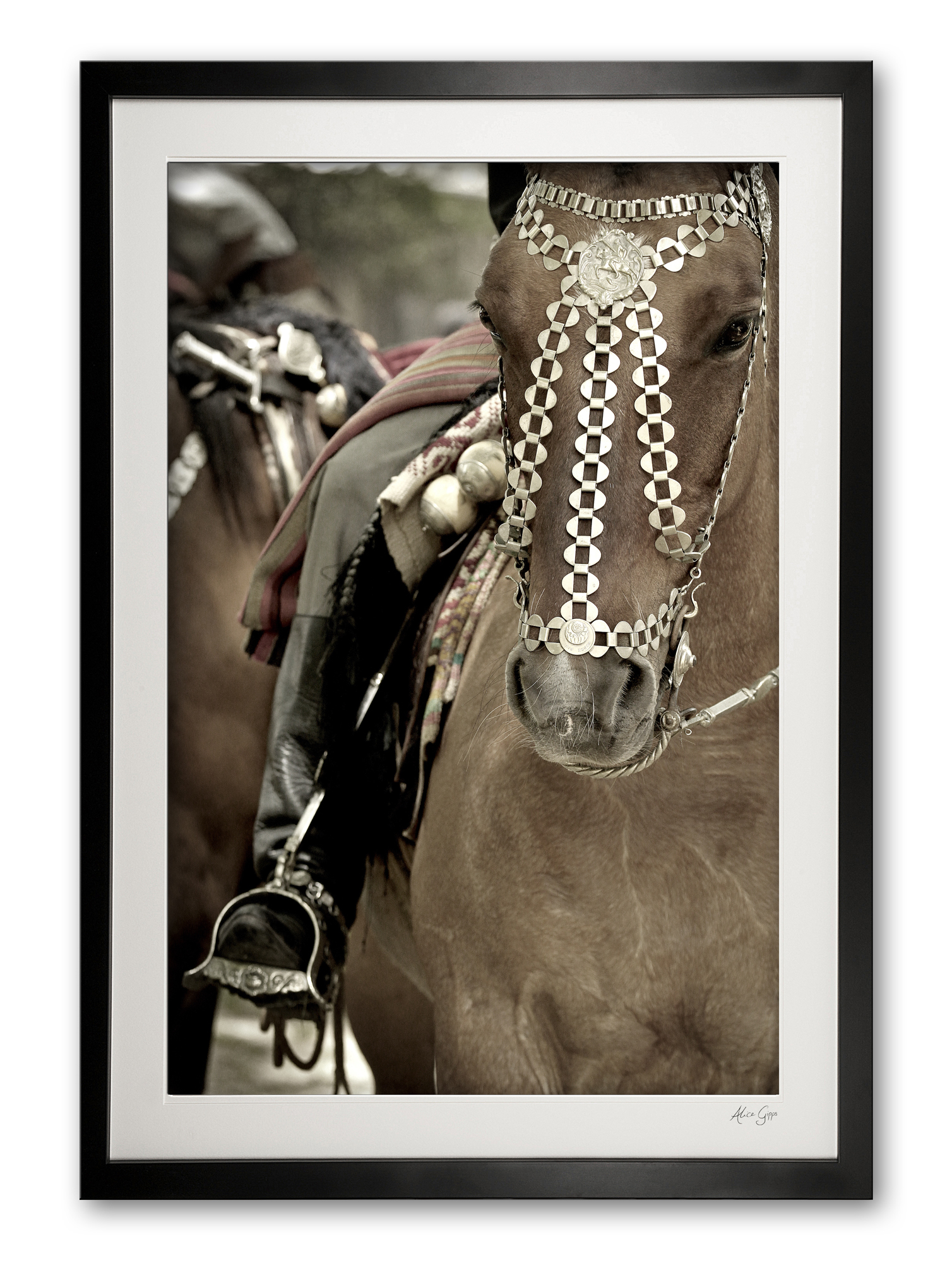 117_c__festival_finery_iii_e56g9246_fade_framed