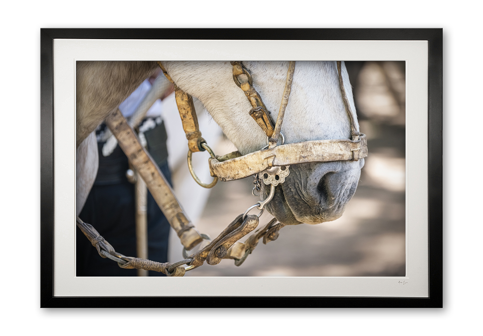 120_c__freno_0e5a9382