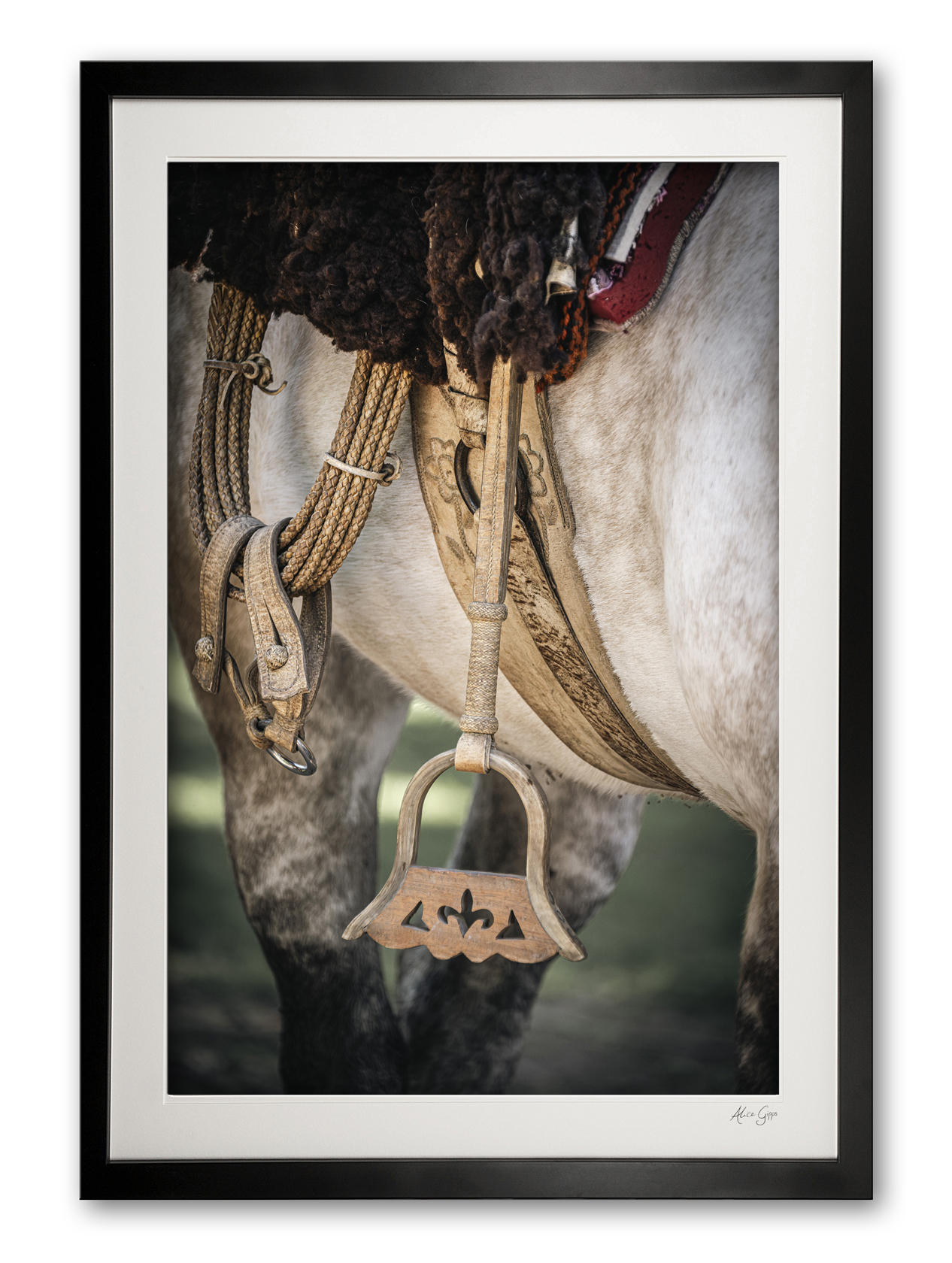 120_d__estribo_ii0e5a9383