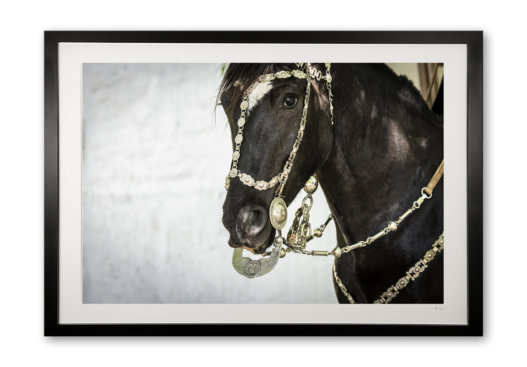 120_m__antique_bridle_ix_framed_0e5a9546